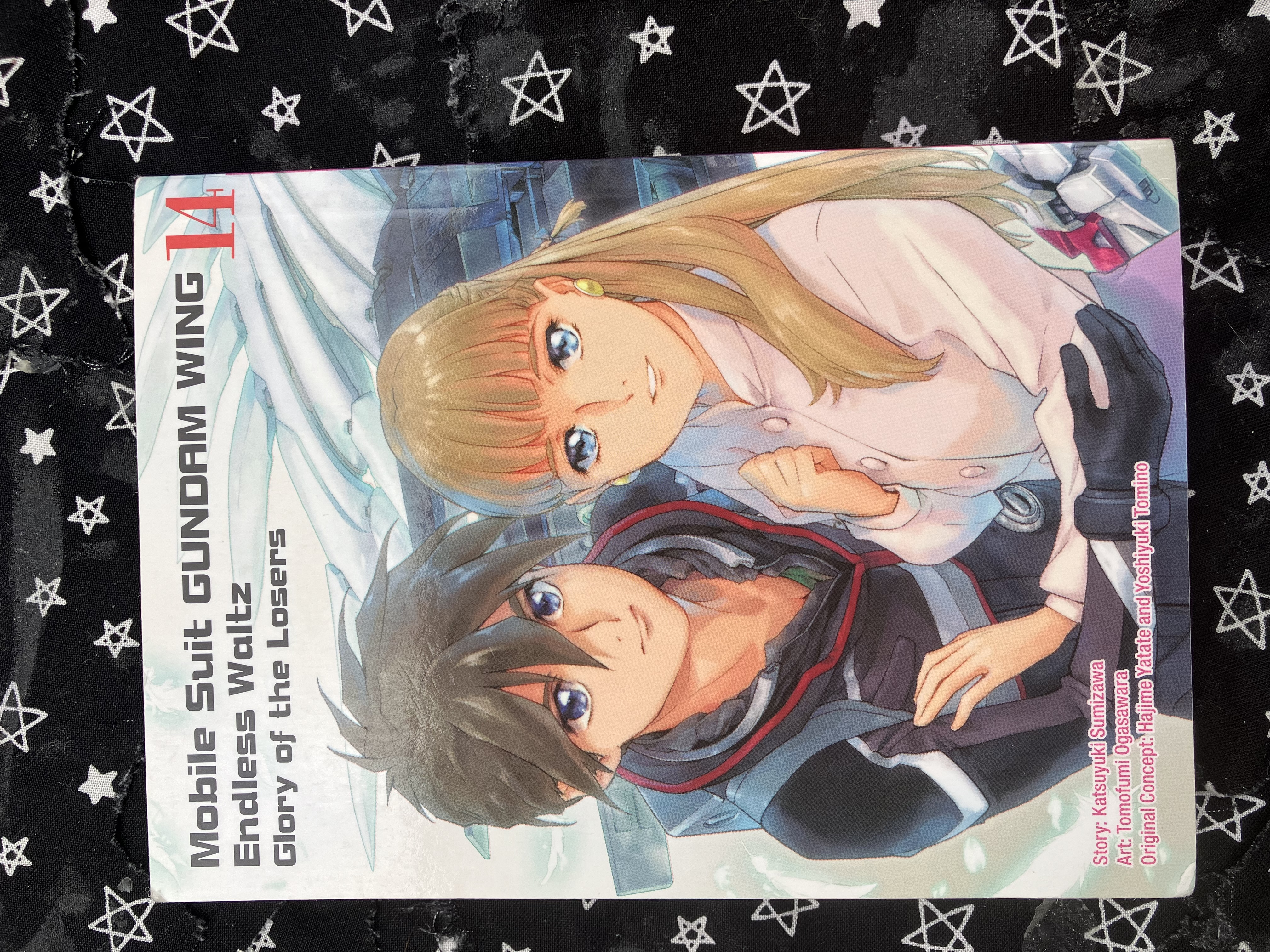 Front of volume 14 of the manga Mobile Suit Gundam Wing: Endless Waltz: Glory of the Losers with Heero and Relena holding each other while Wing zero wing is in the background.