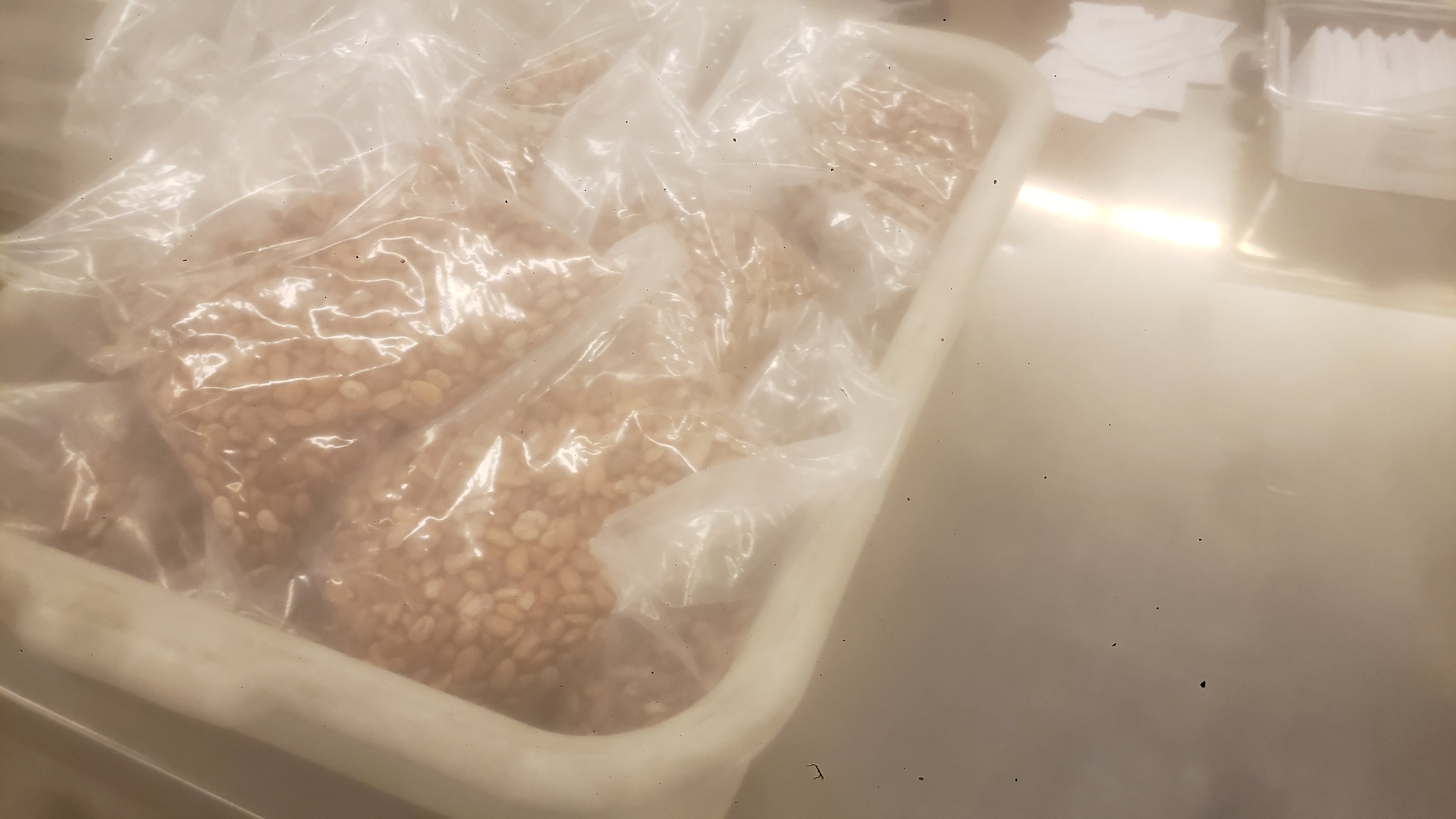 Bags of pinto bags in a tan tub.