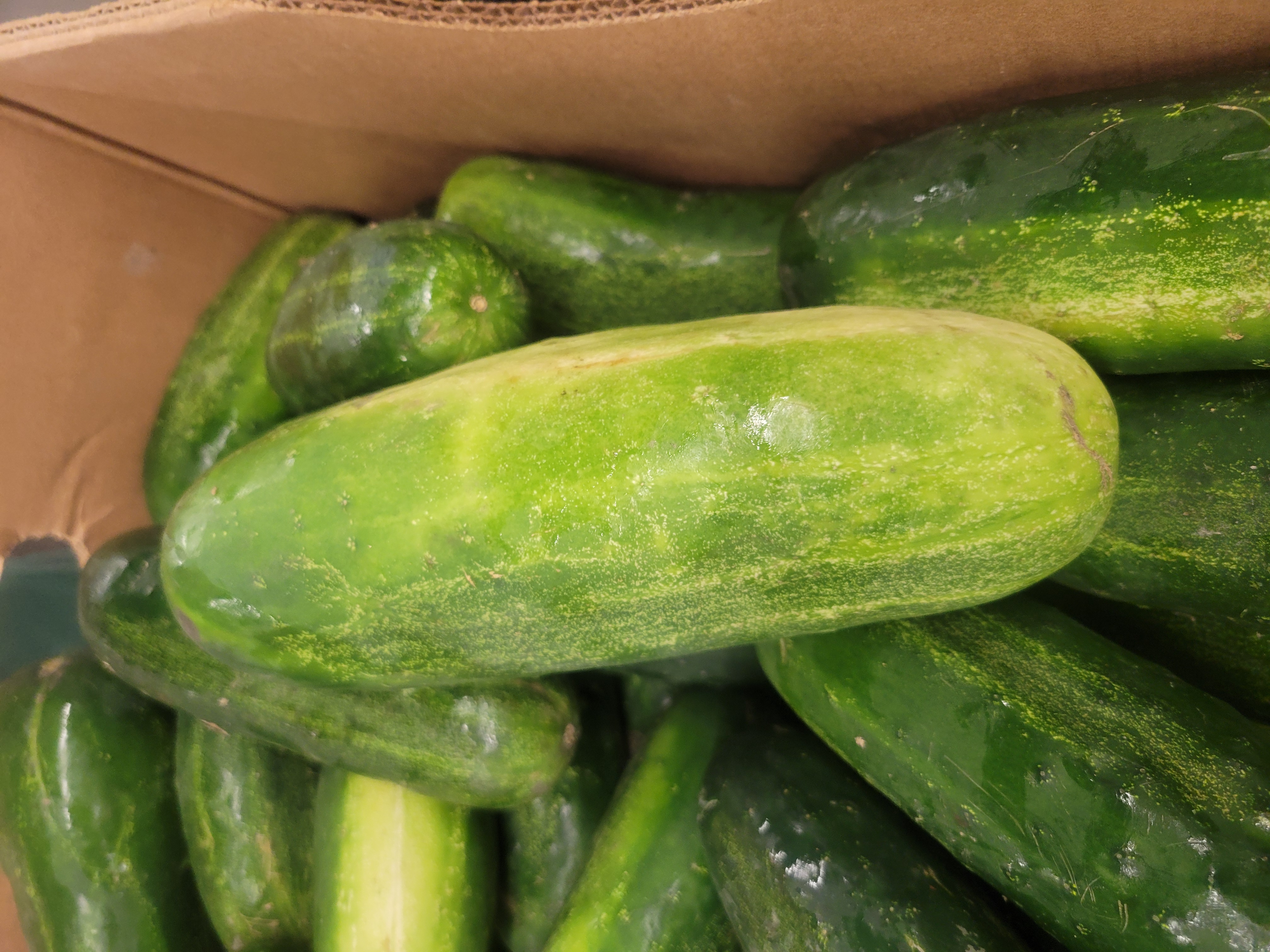 Cardboard container filled with watermelons.
