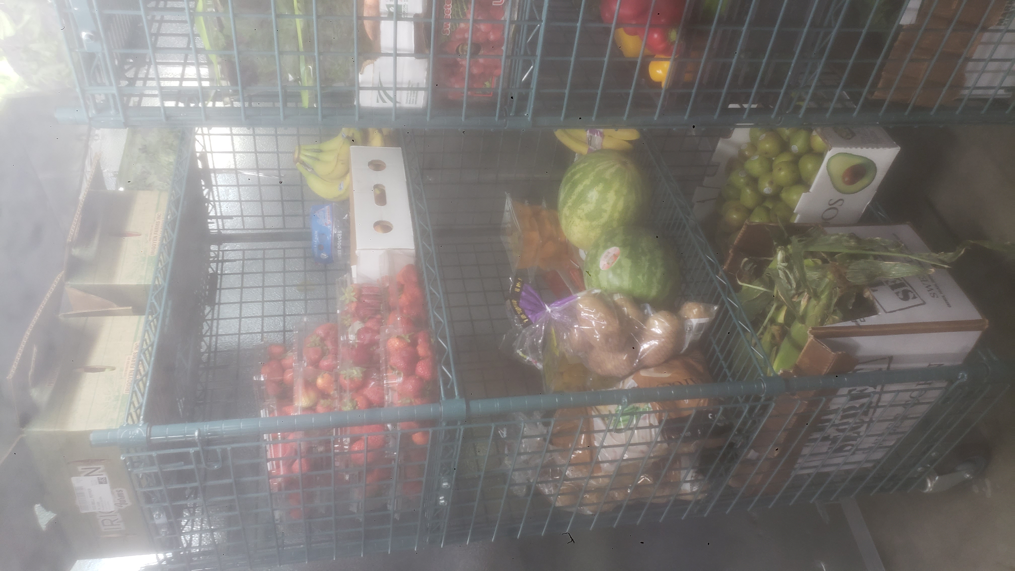 Assorted produce on shelves of a cage shelf.