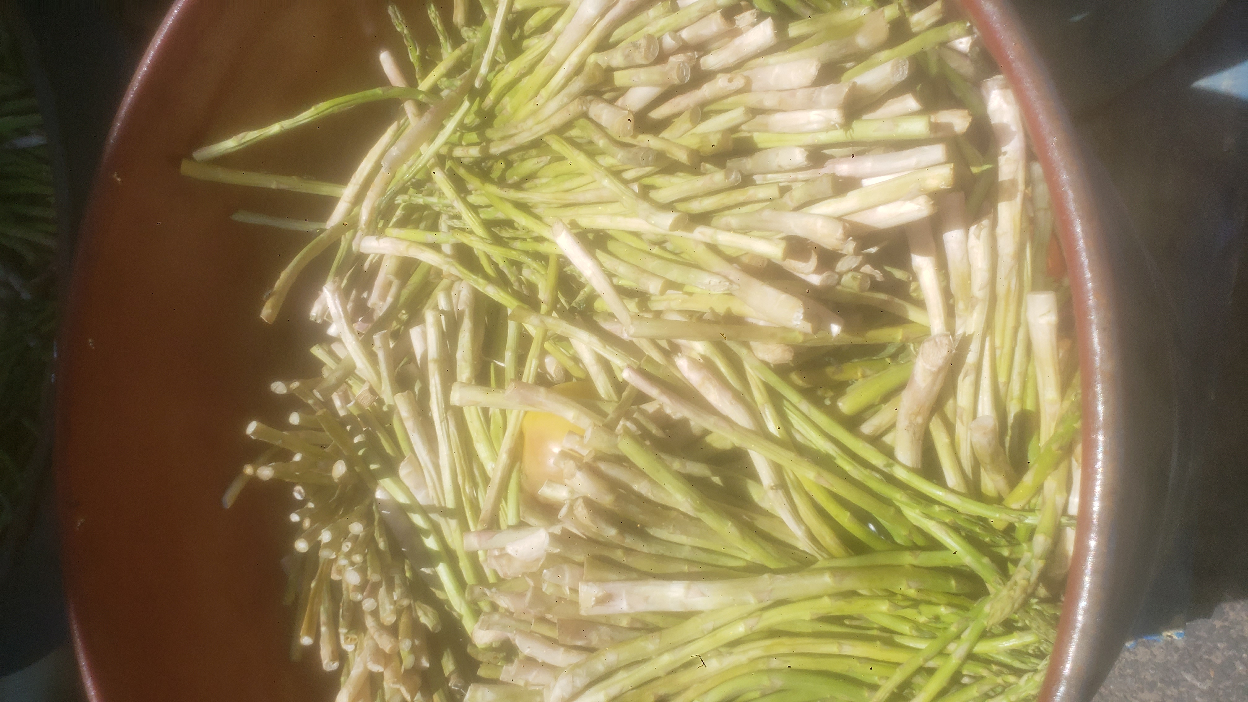 Barrels full of rotten produce with asparaguses on top.