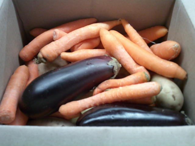 Potatoes, squash, carrots, and eggplants in a cardboard box.