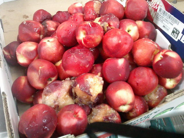 Nectarines in a produce tray.