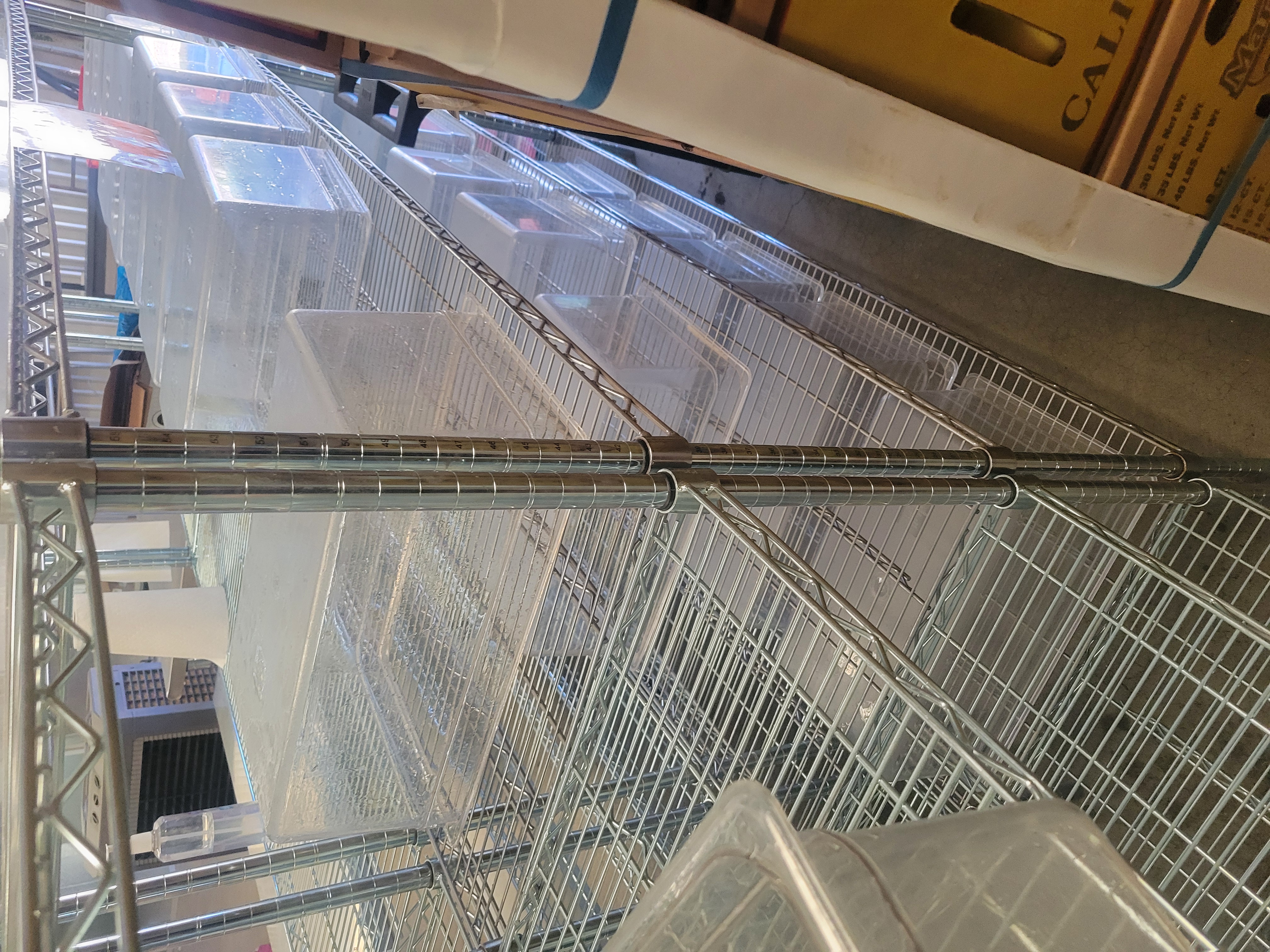 Upside down plastic tubs on shelves.