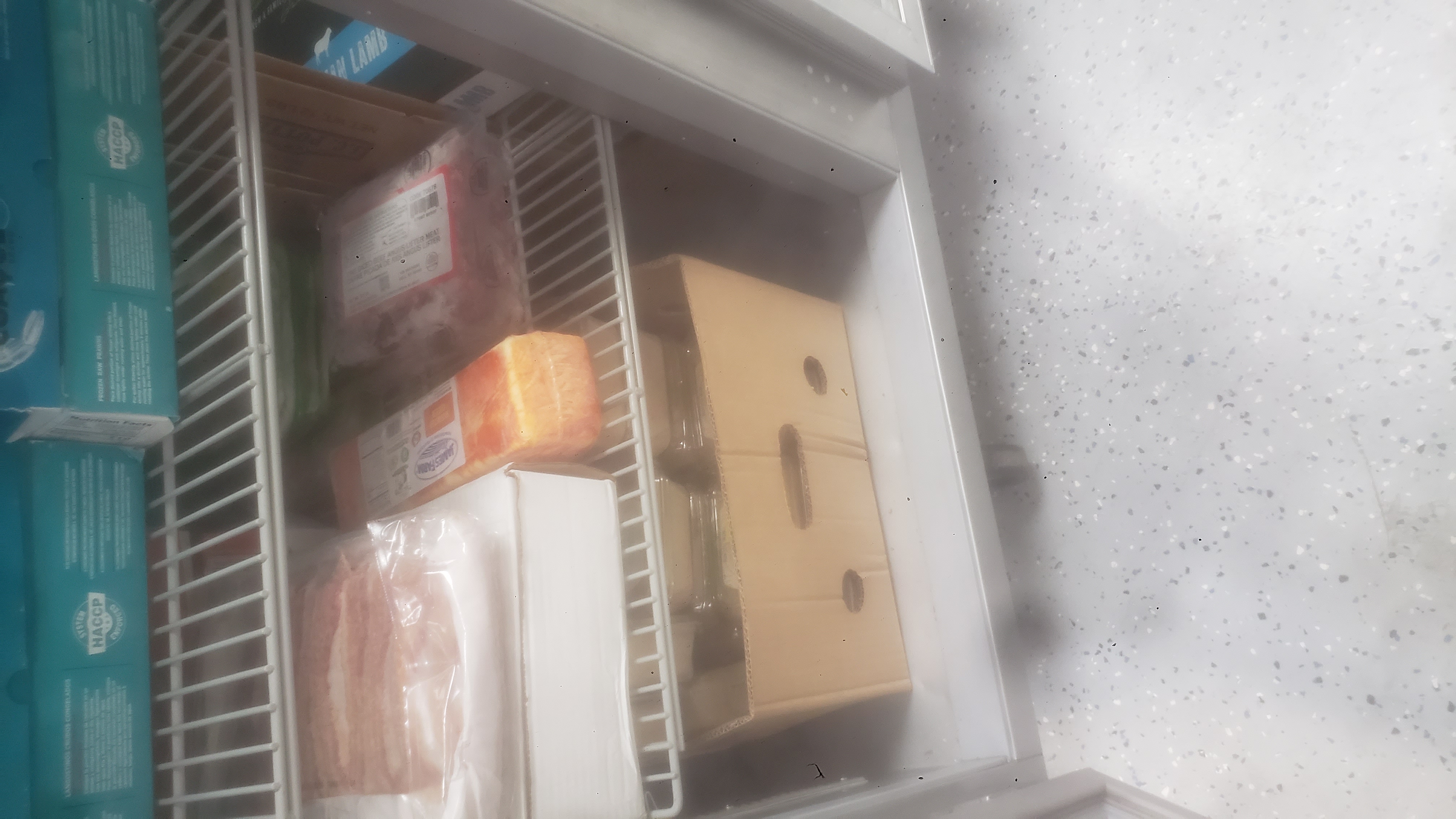 Assorted frozen items such as meats and block of cheese.