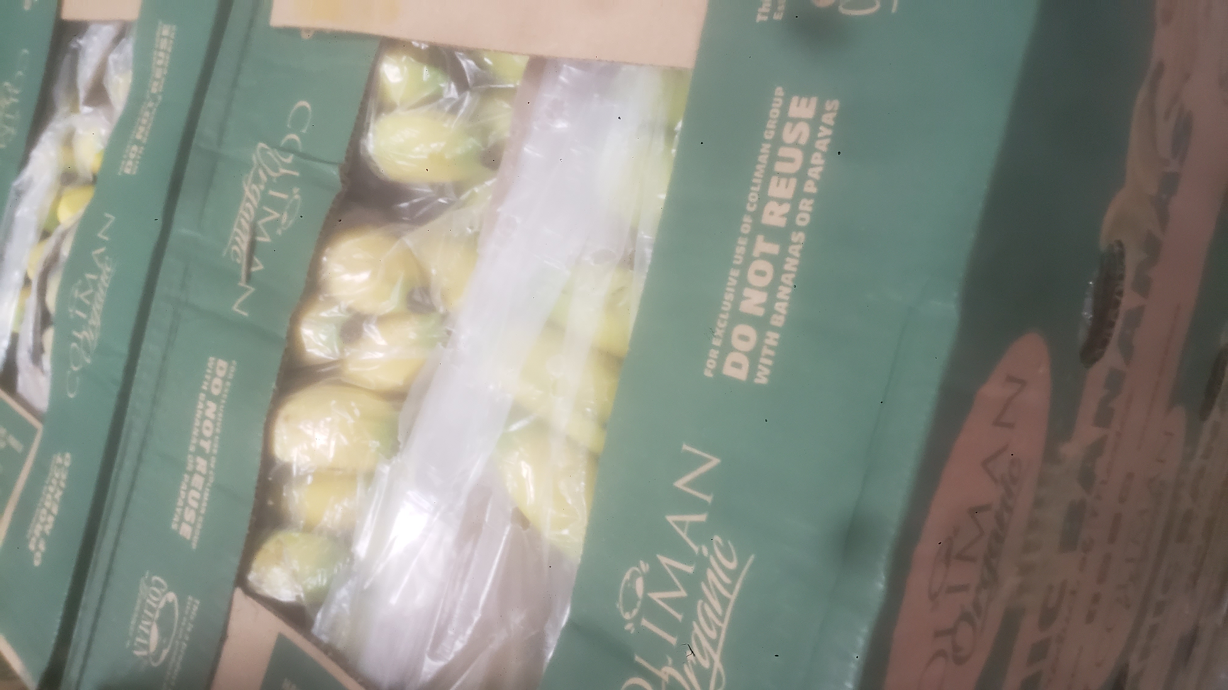Banana boxes full of bananas wrapped in plastic.