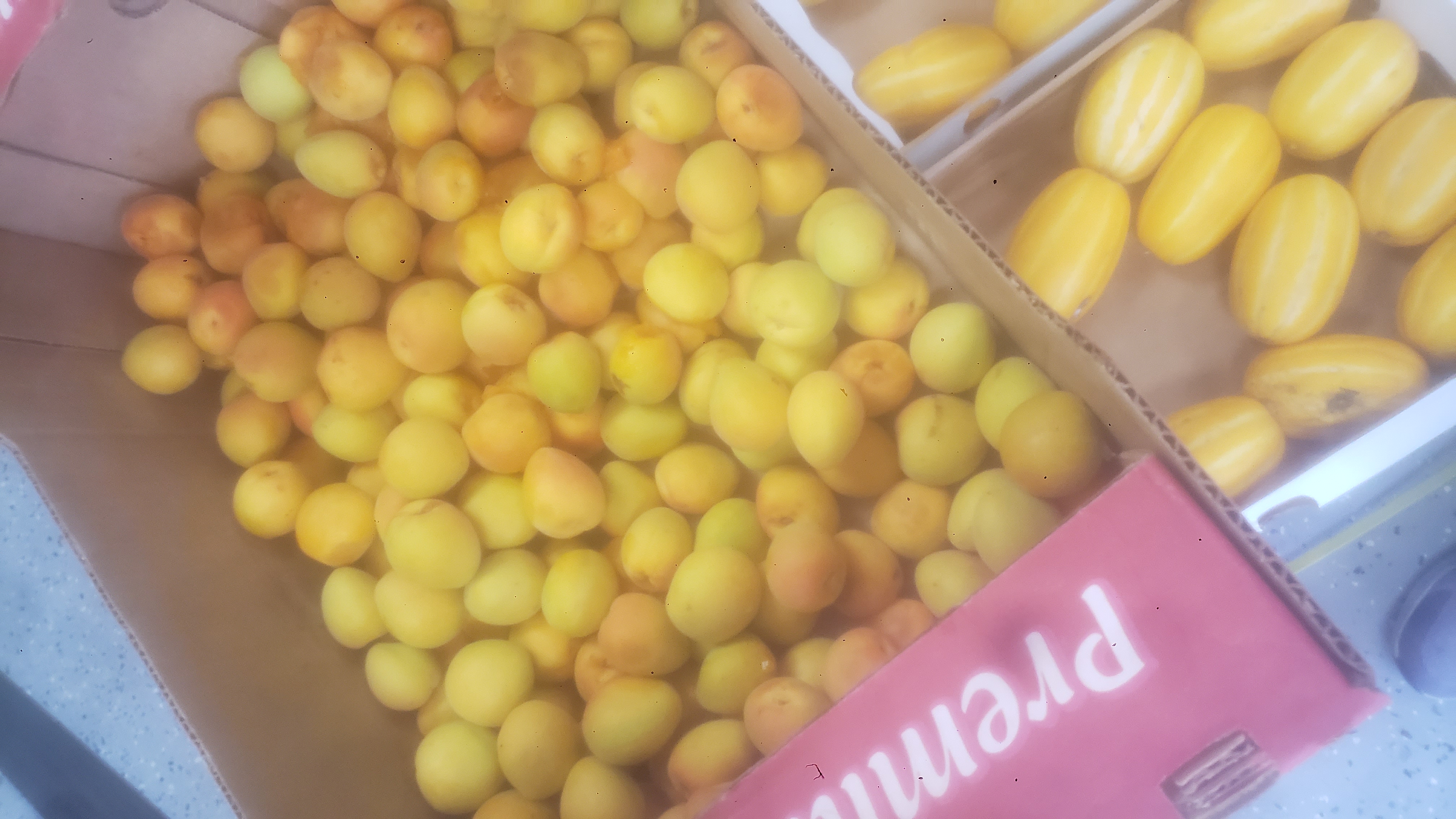 Produce tray filled with apricots.