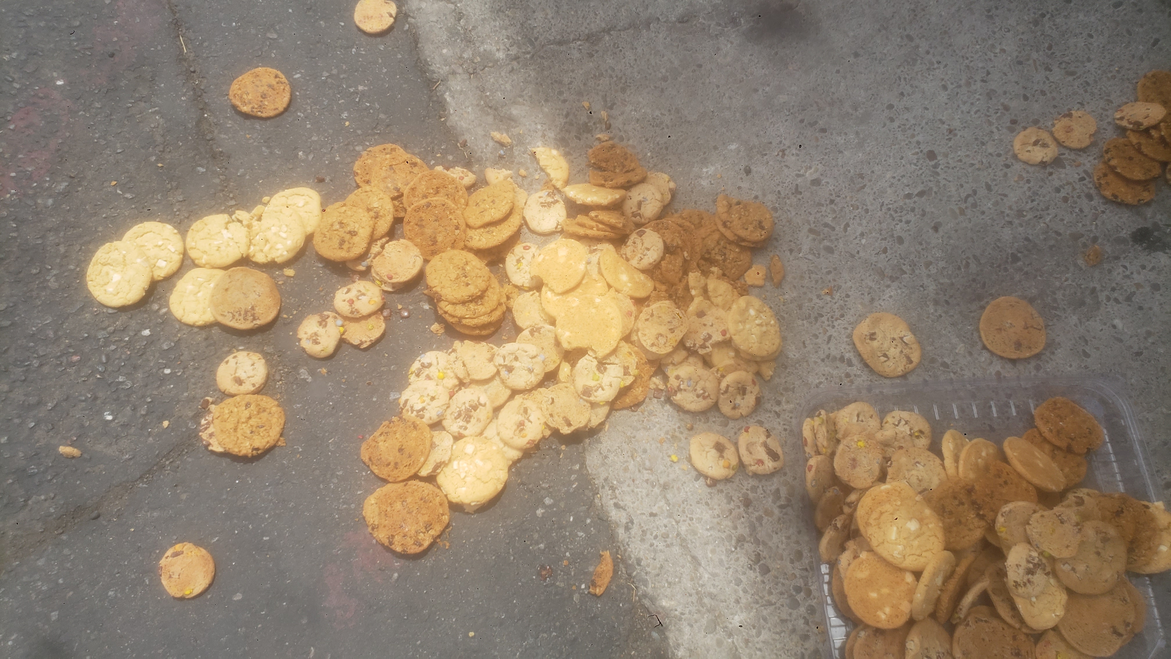 Spilled cookies with a cookie filled container near by on parking lot