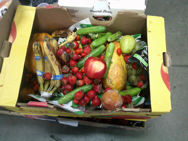 Produce box filled with moldy food.