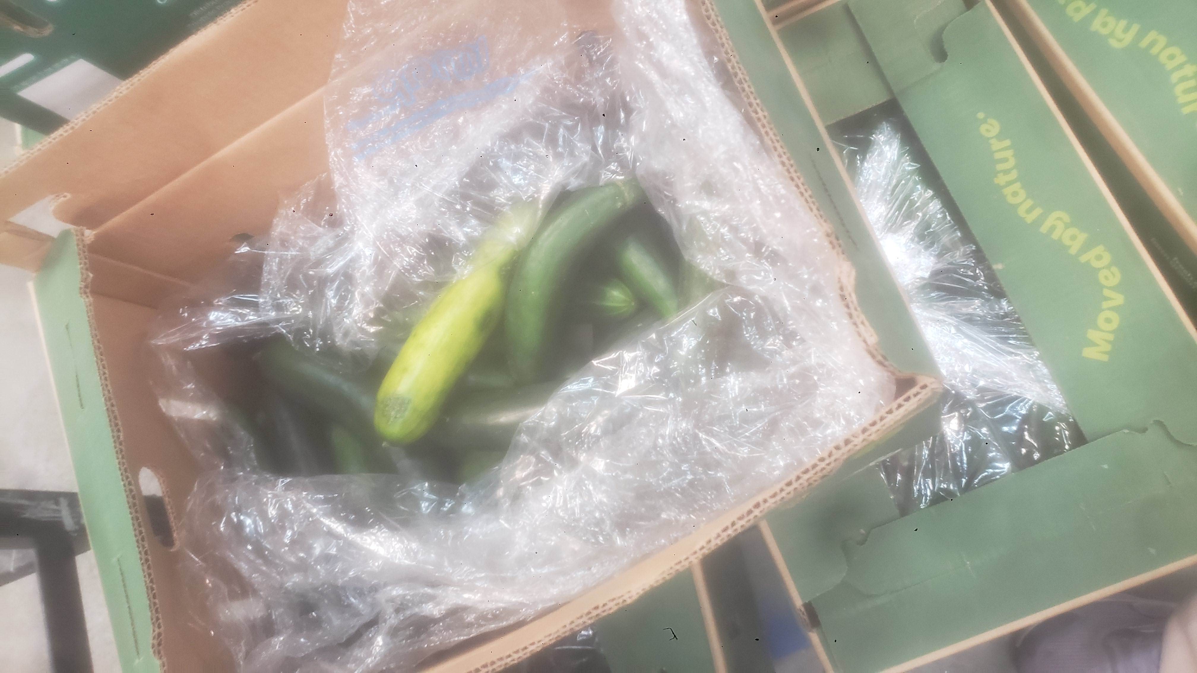 Cucumbers covered in plastic in a cardboard box.