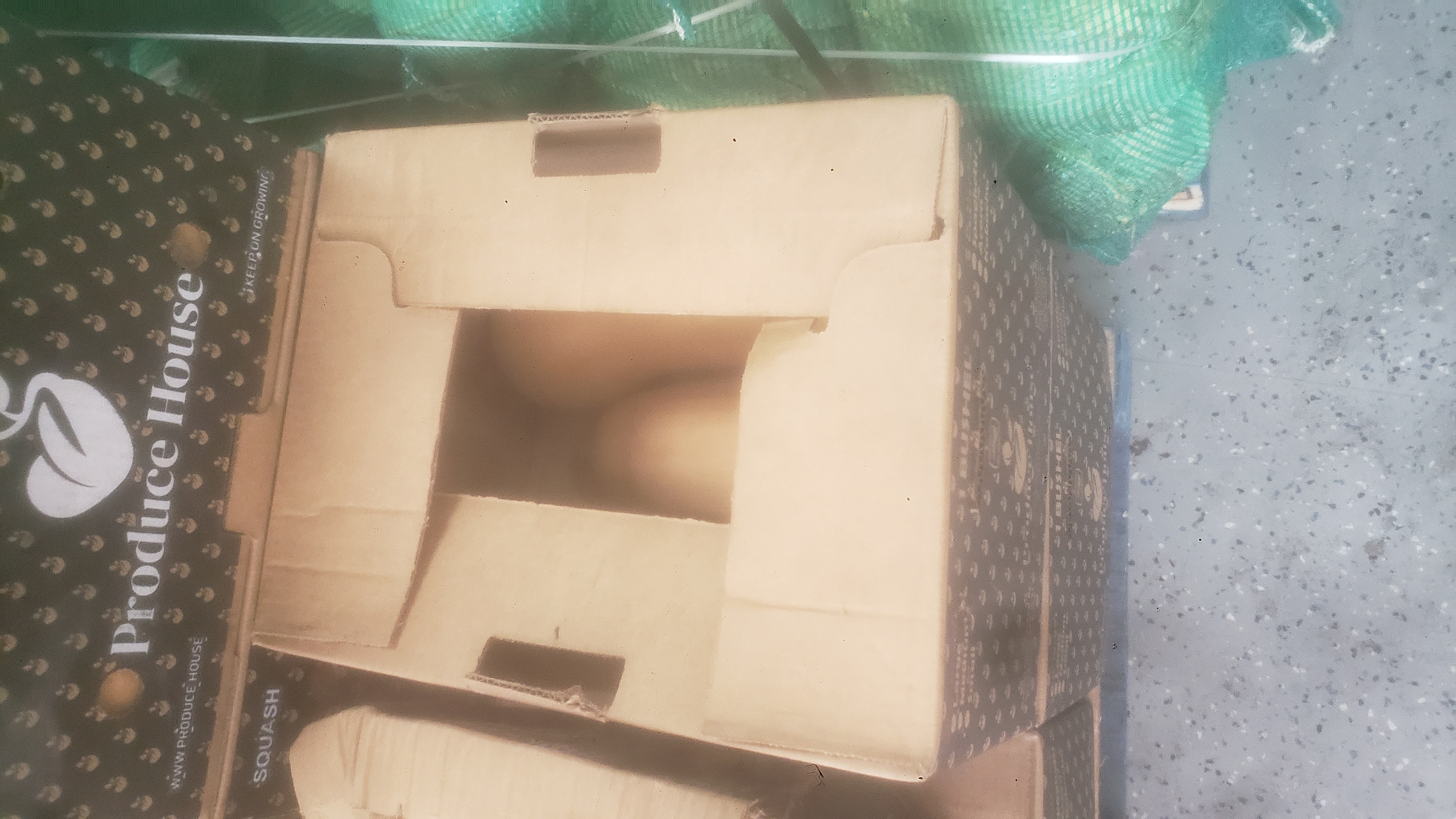 Cardboard box full of butternut squashes.