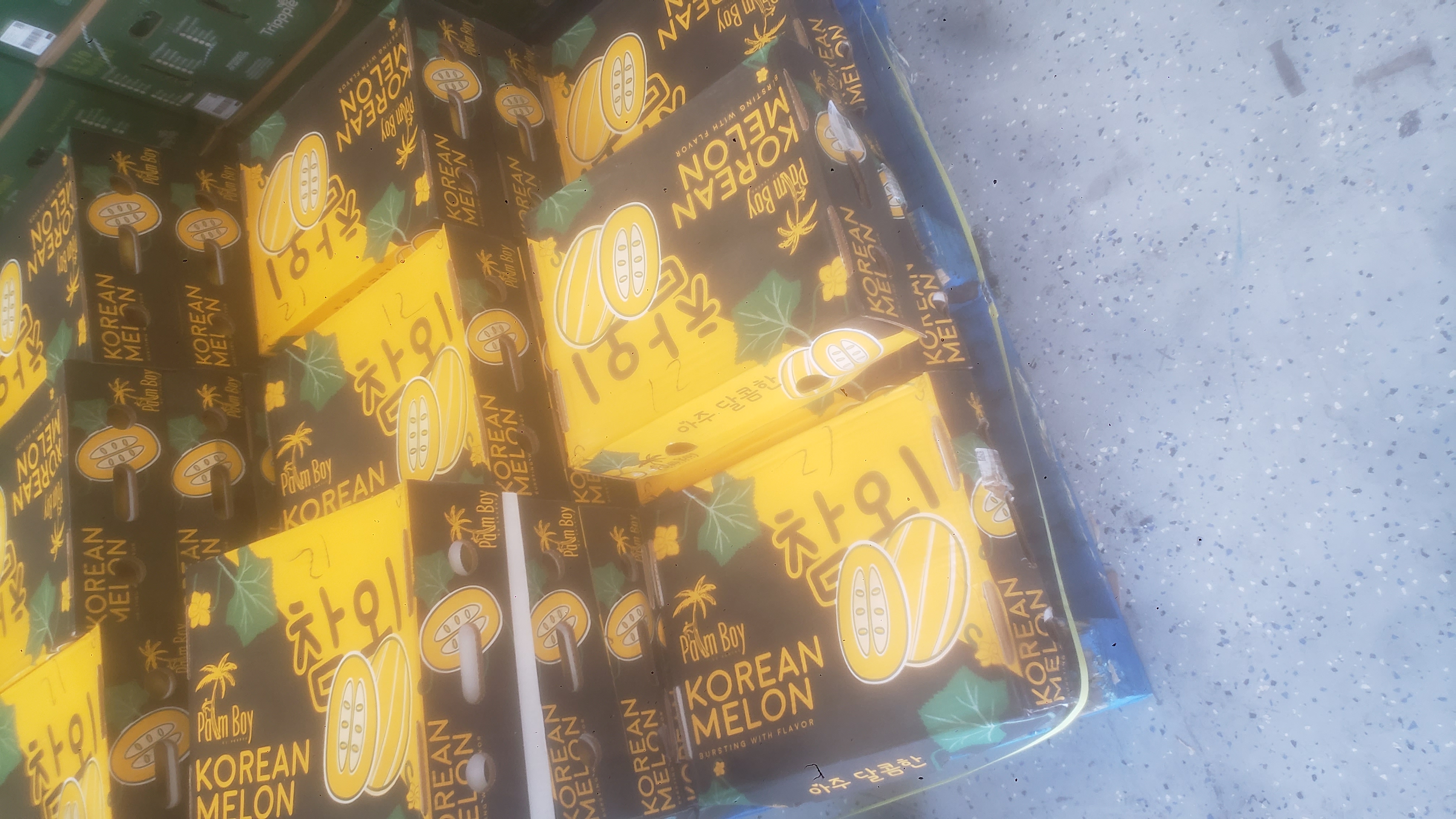 Cardboard trays of chamoes with the lids on.