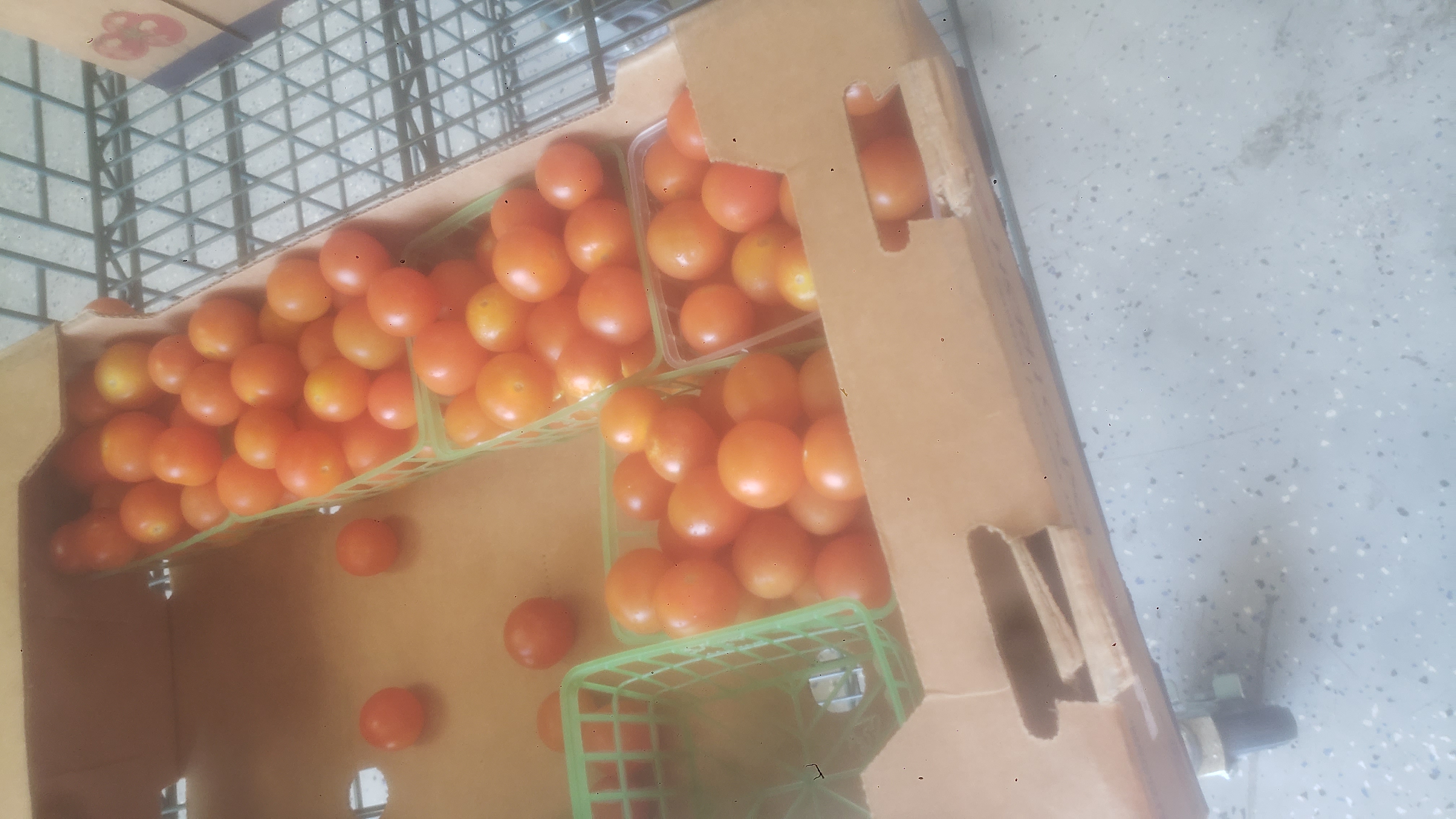 Tomatoes in plastic punnets inside a cardboard shipping crate.