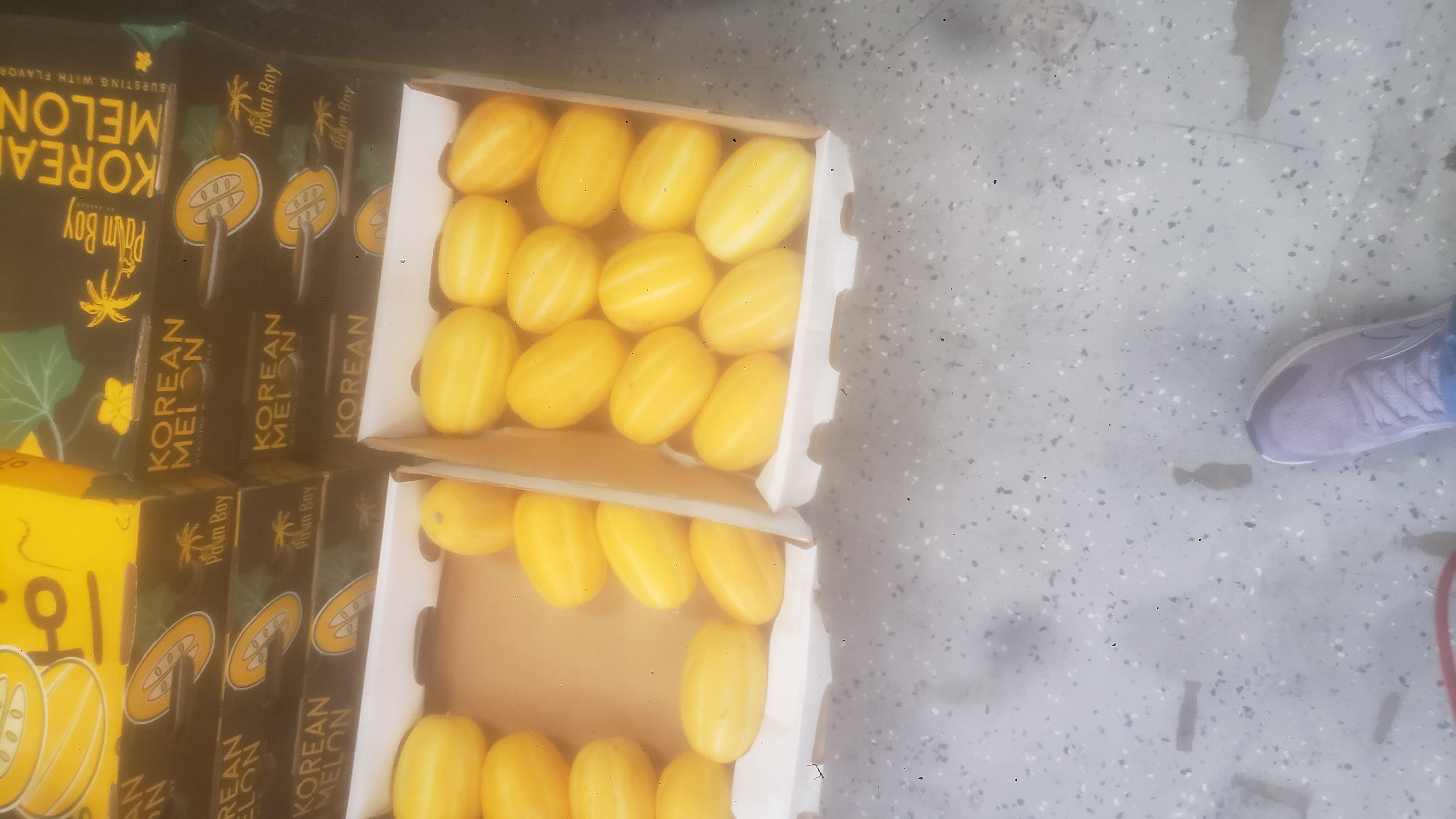 Cardboard trays of chamoes.