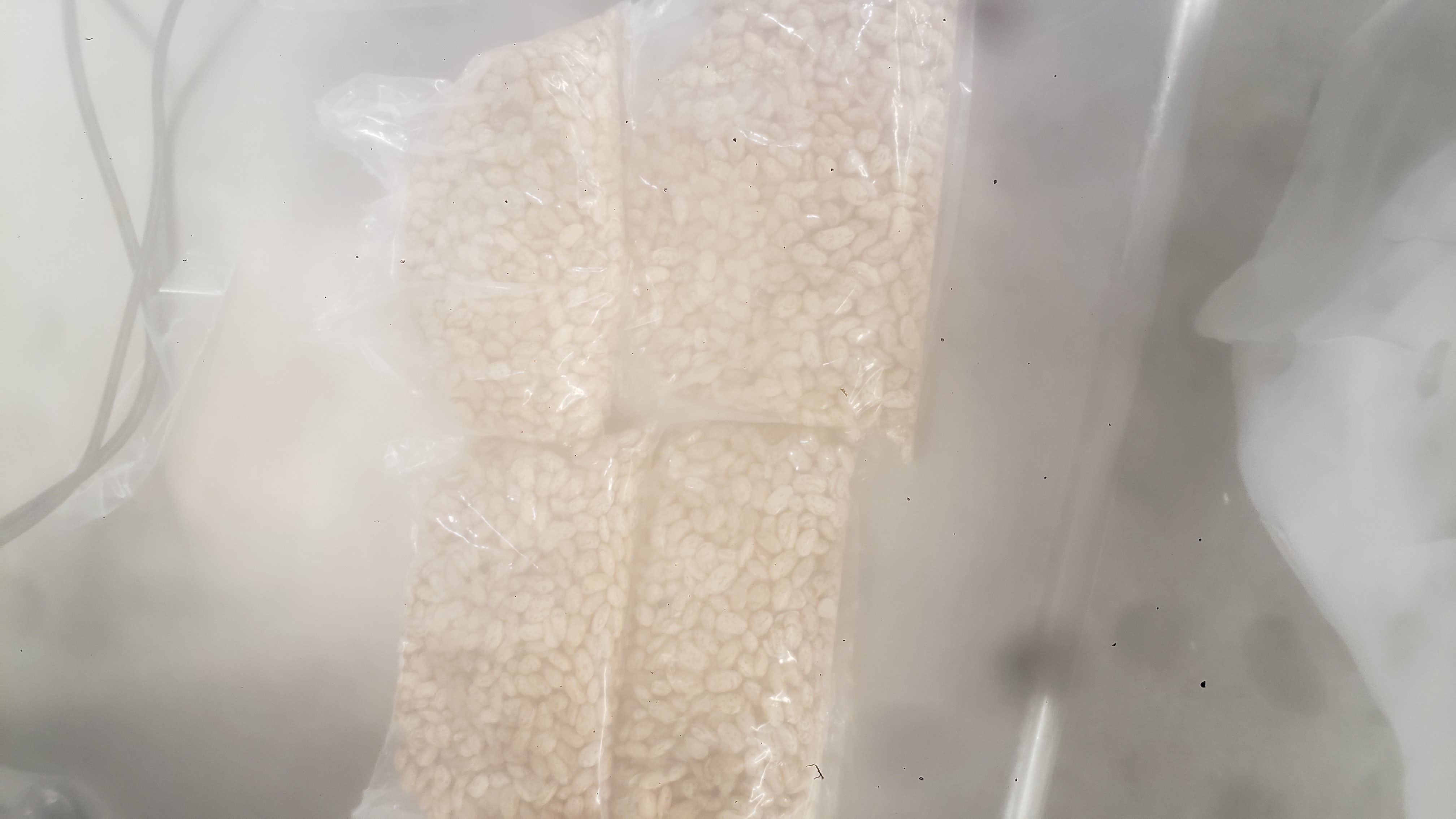 Four bags of pinto bags on metal table.