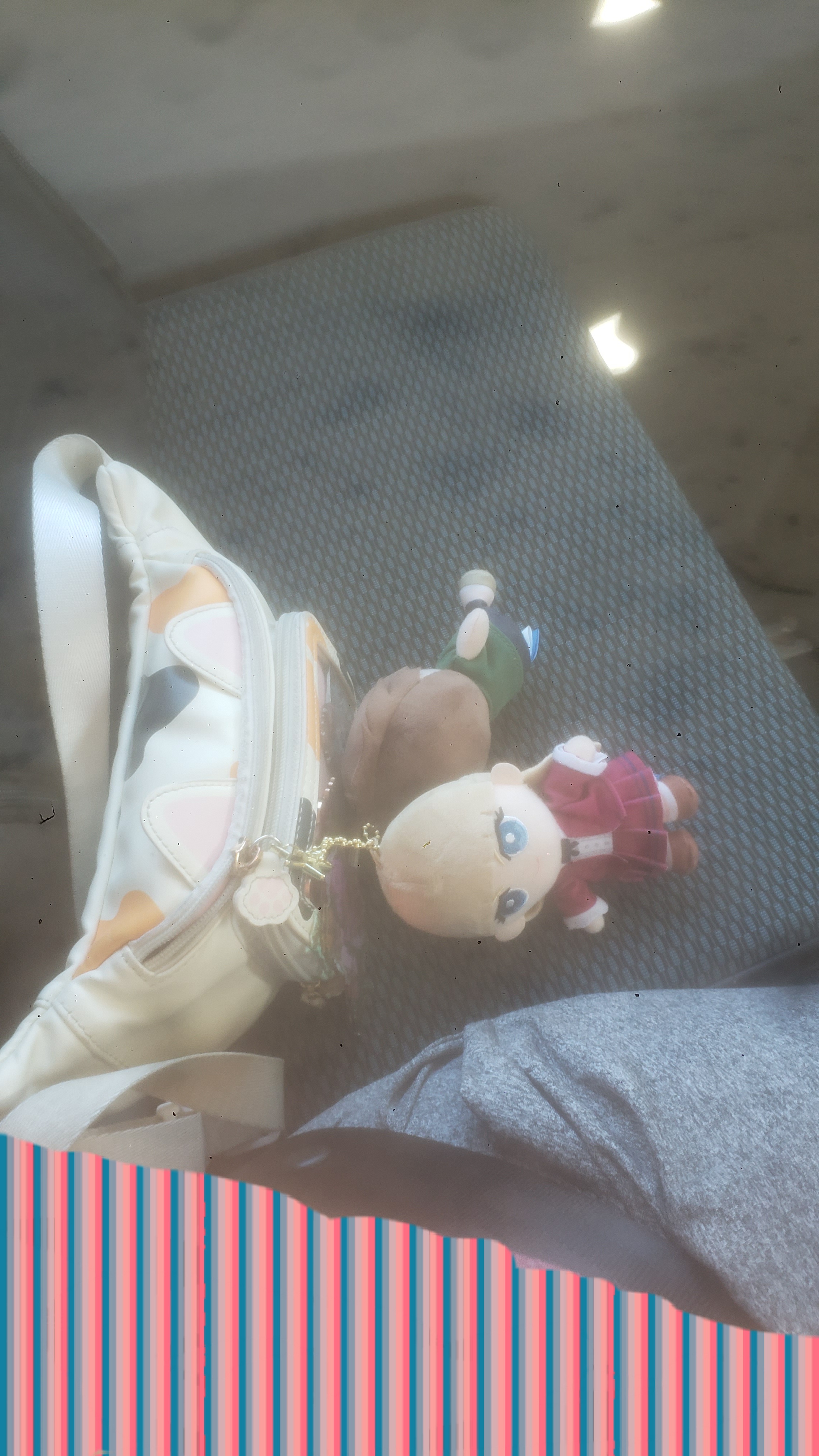 Cat fanny on bus seat.