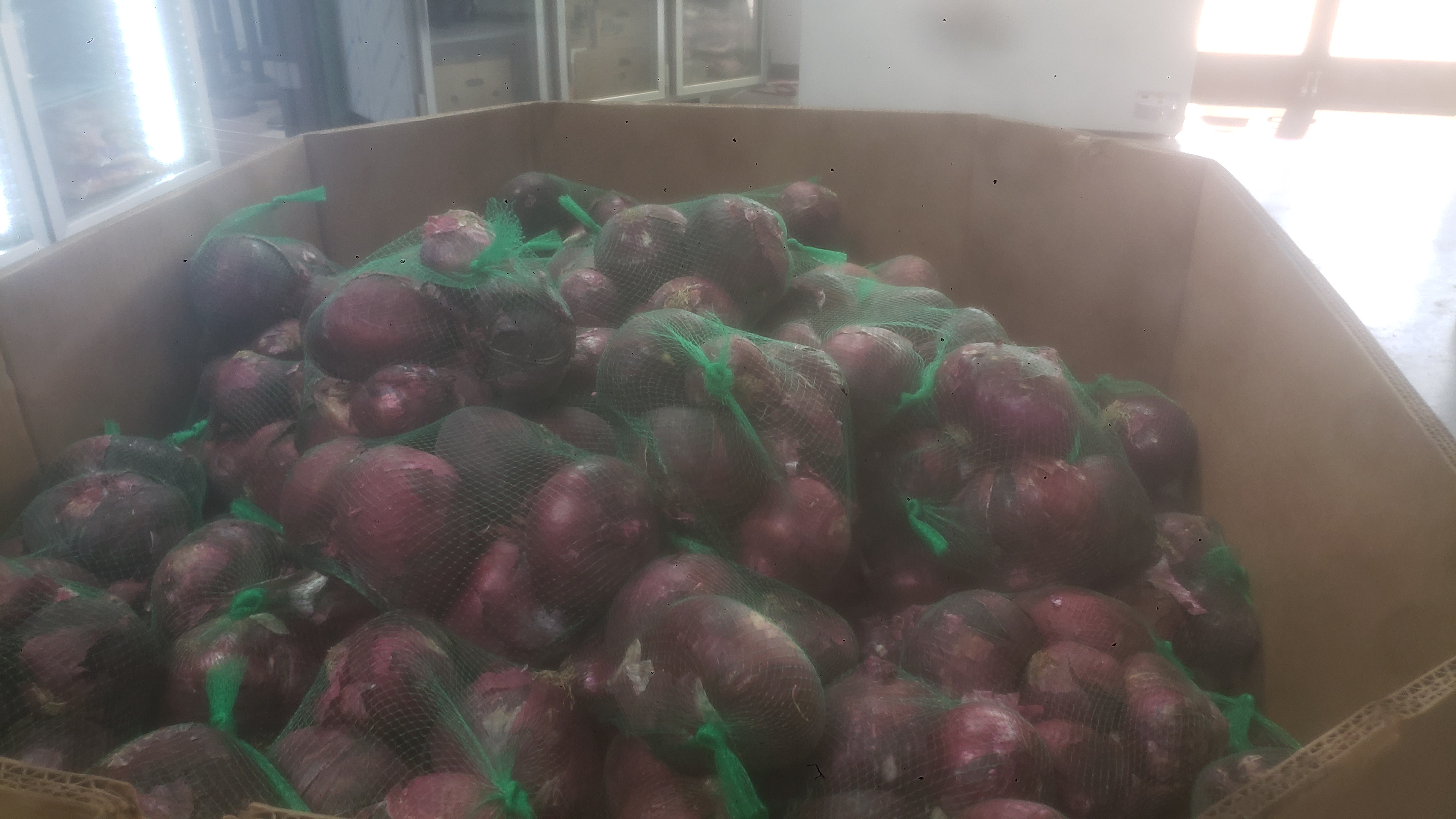 Green mesh bags full of red onions in a cardboard container.