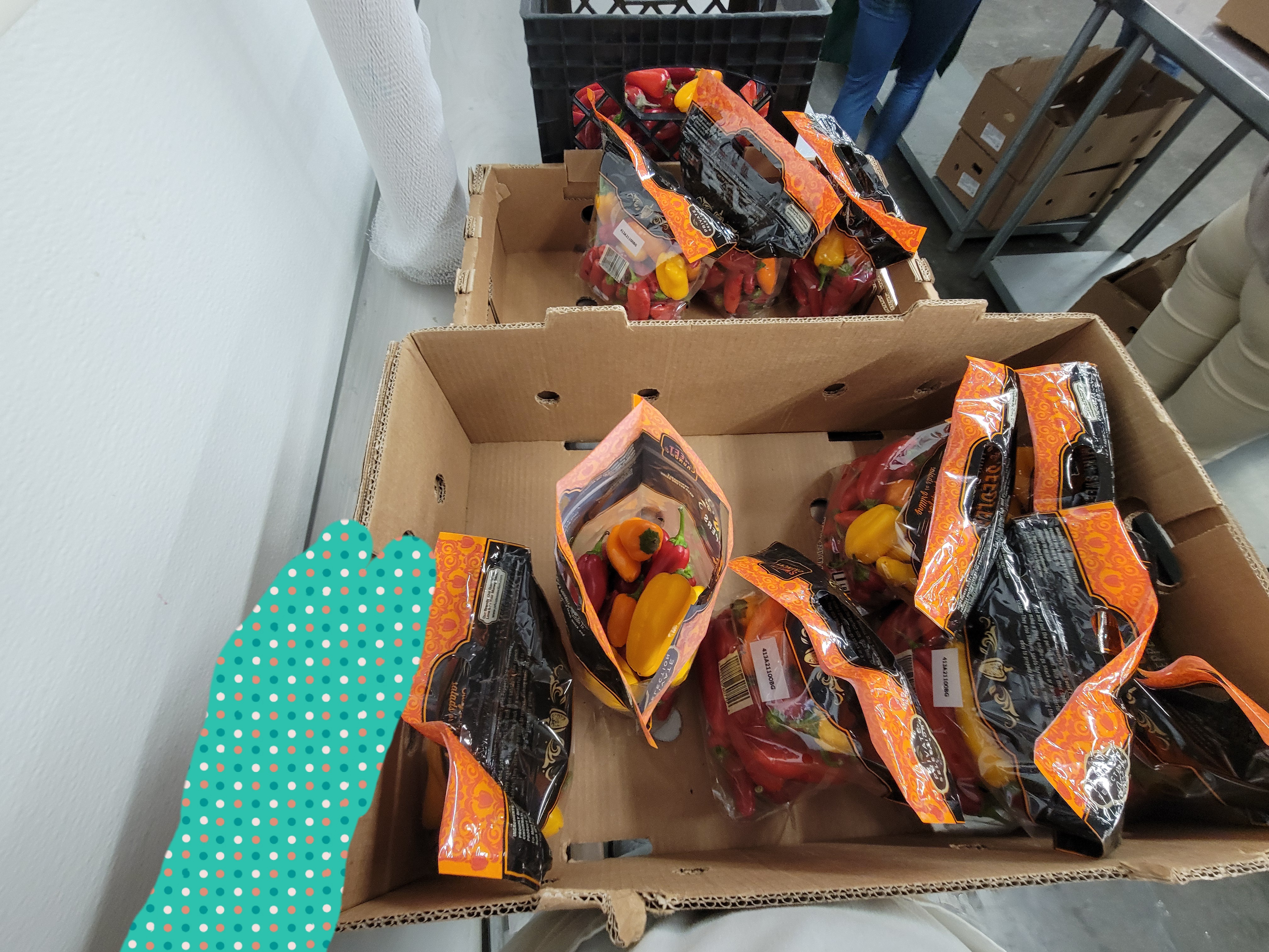 Bags of small peppers in agricultural trays.