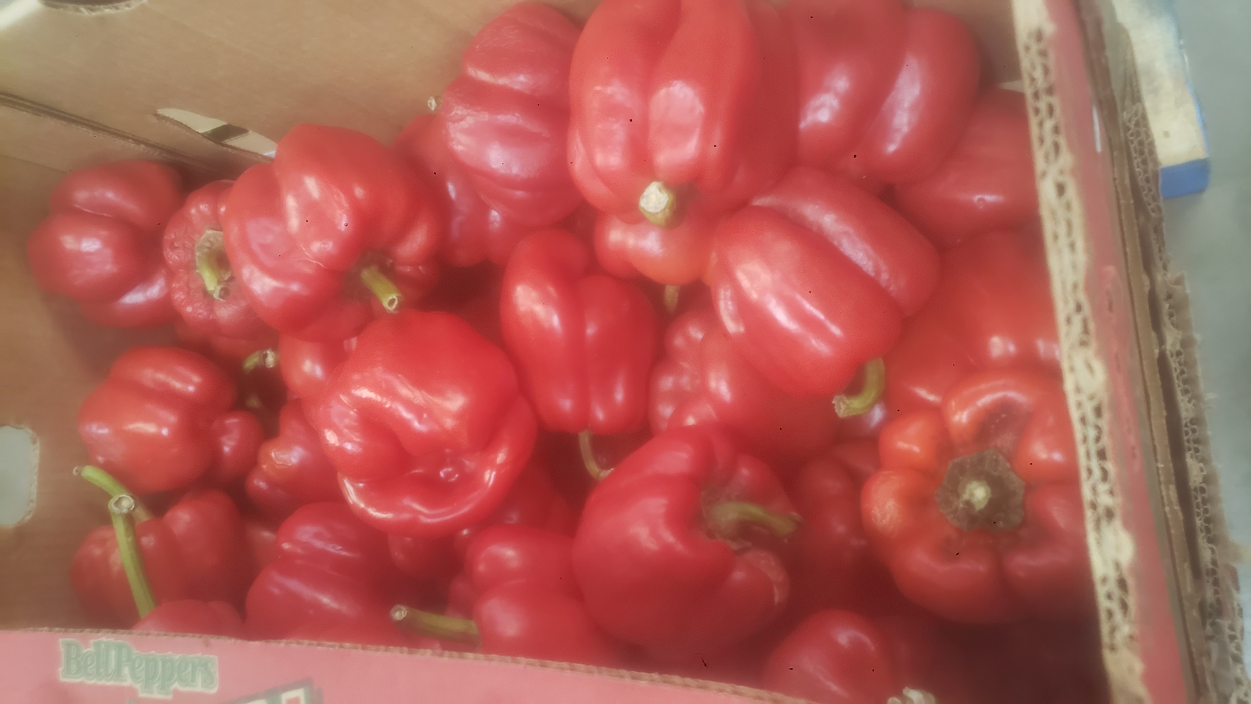 Red bellpeppers in a cardboard box on a pallet.
