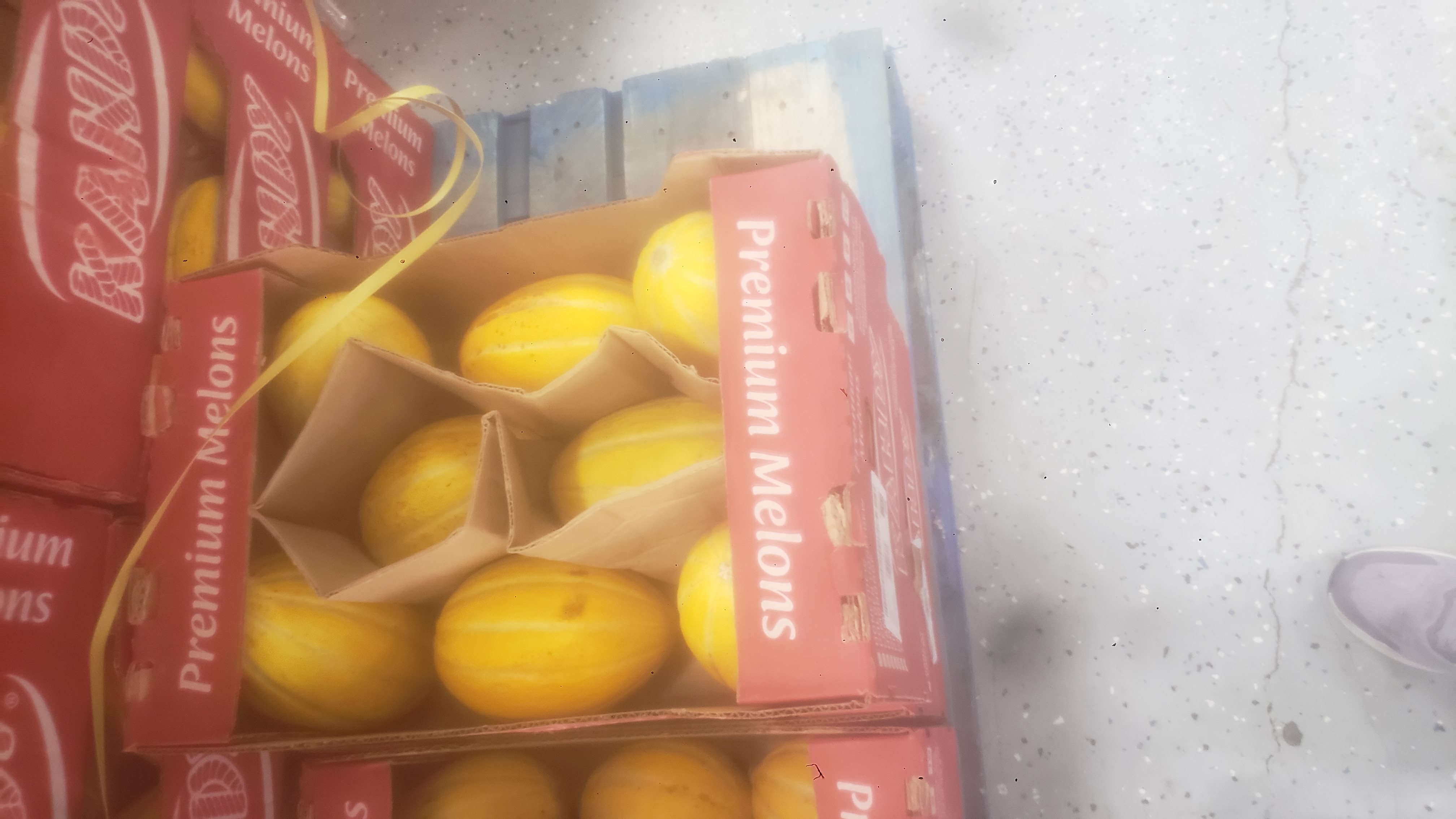 Canary melons in cardboard trays on a pallet.