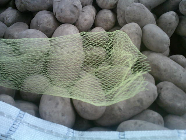 Mesh bag on a pile of potatoes.