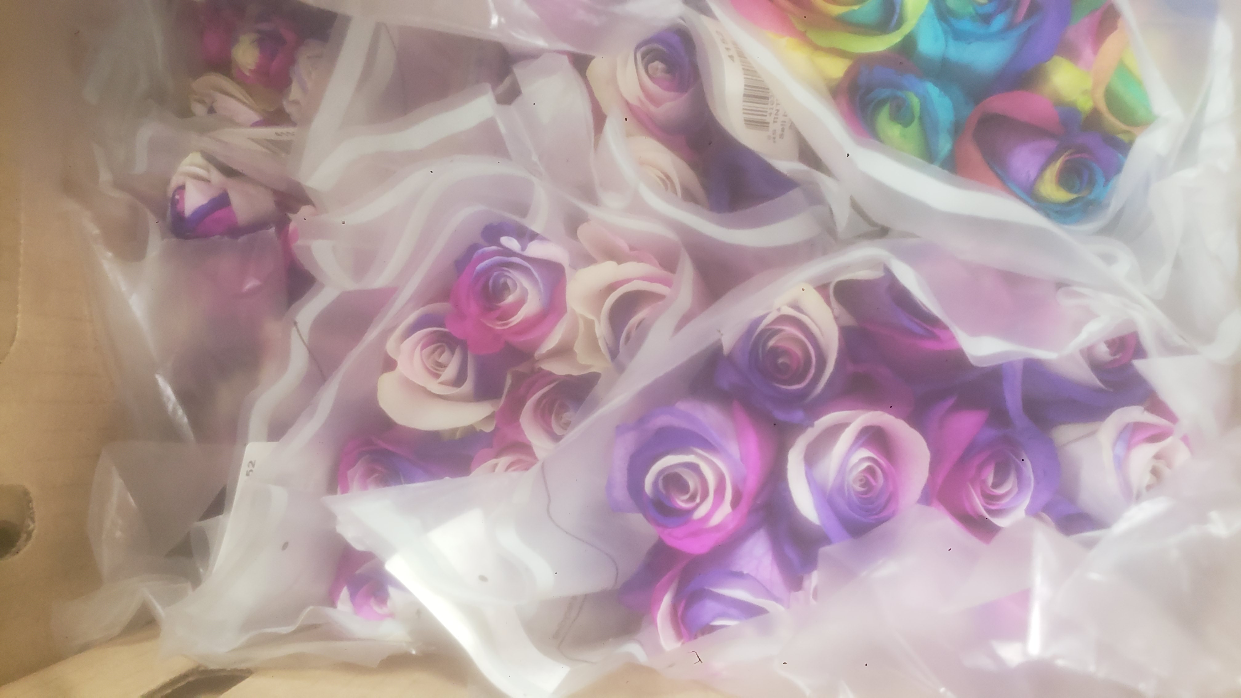 Bouquets of colorful roses in a plastic vase and long cardboard box.