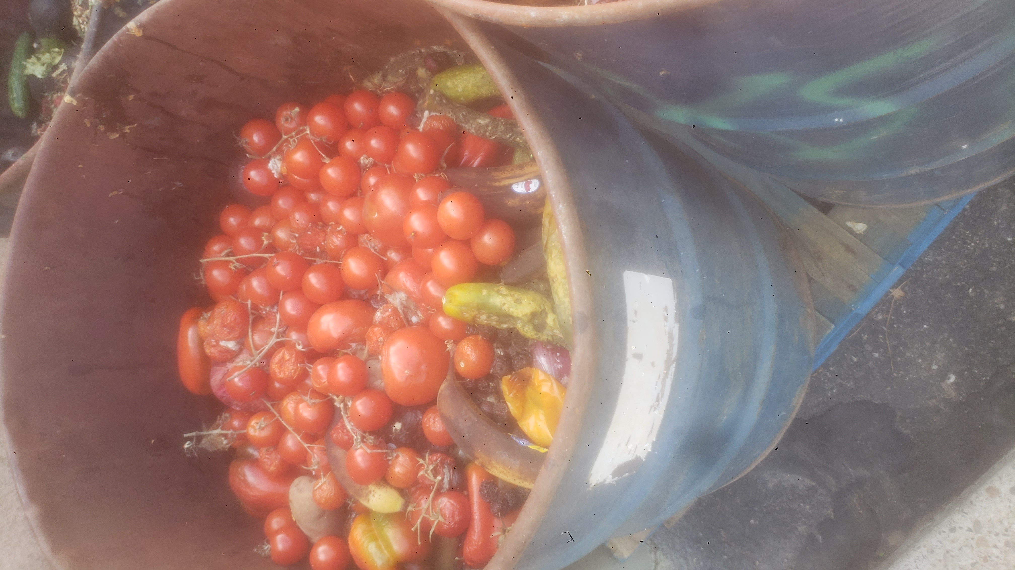 Barrels of rotten produce on a pallet.