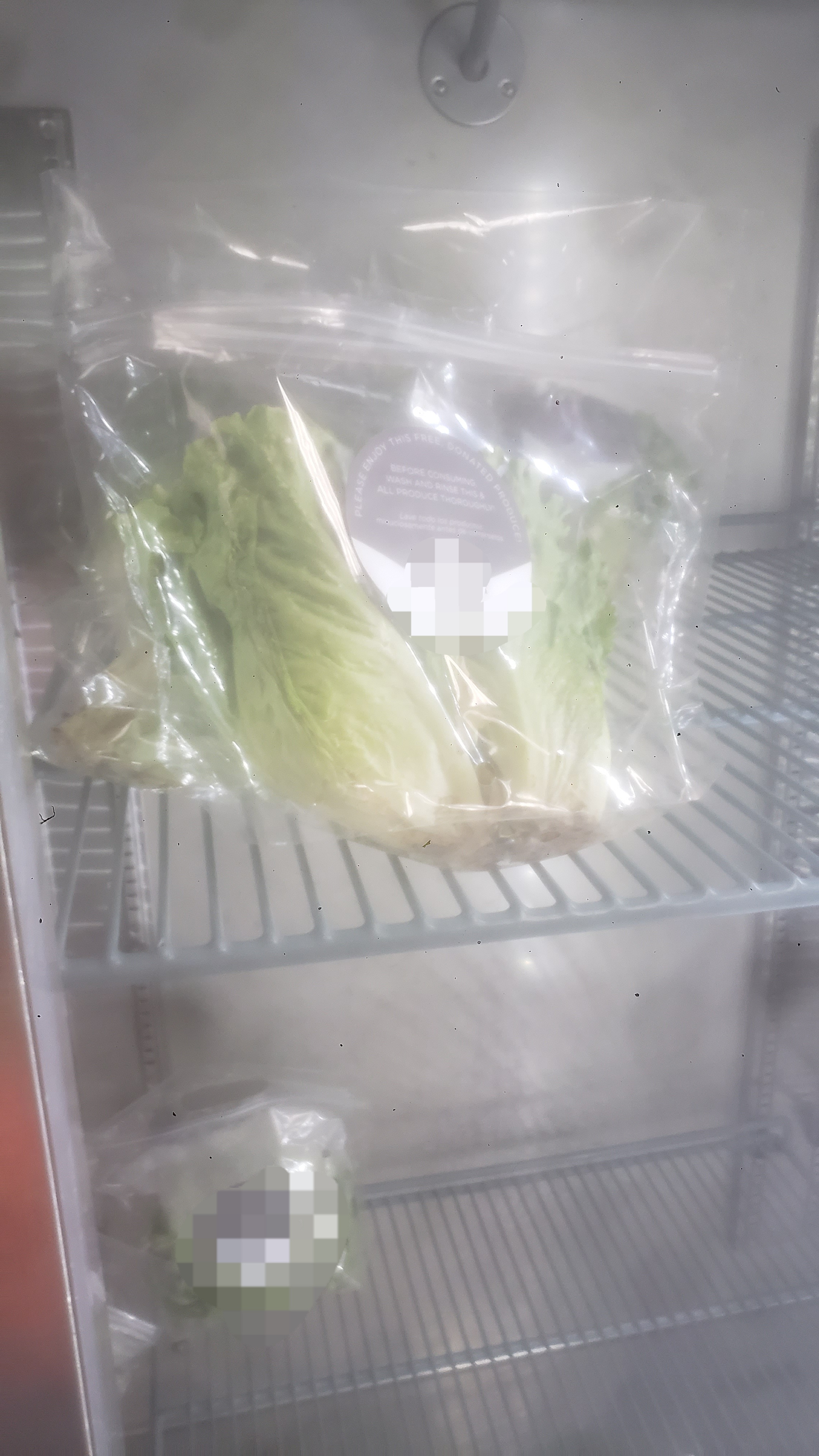 Bag of leaf lettuce on a shelf of a fridge.