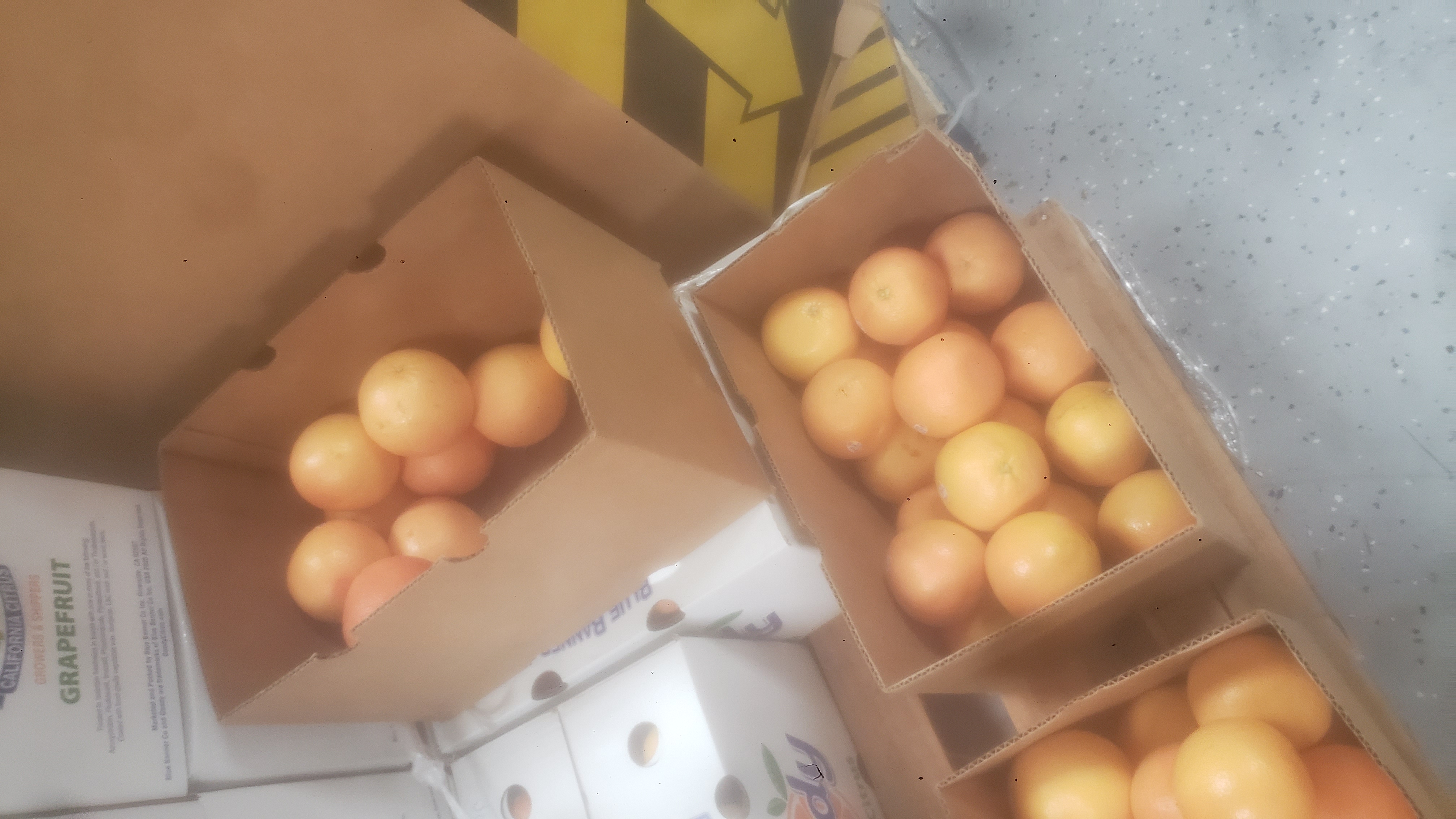 Ruby red grapefruits in cardboard boxes with three of them with no lid on a pallet.