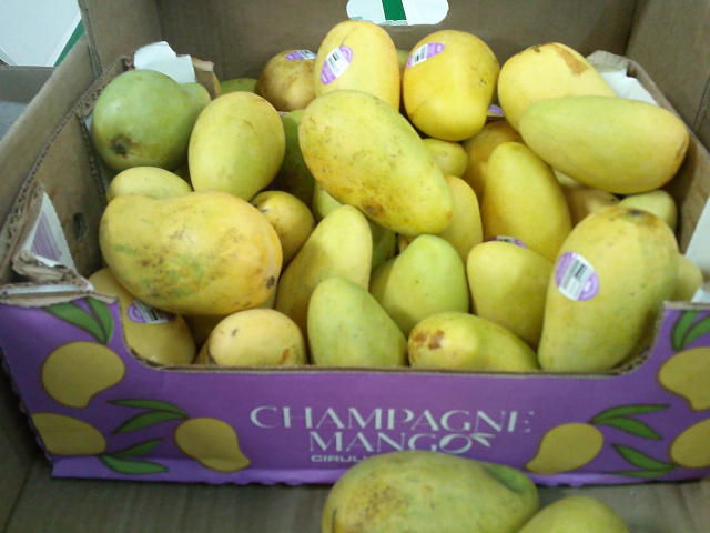 Produce tray filled with ataulfo mangos.