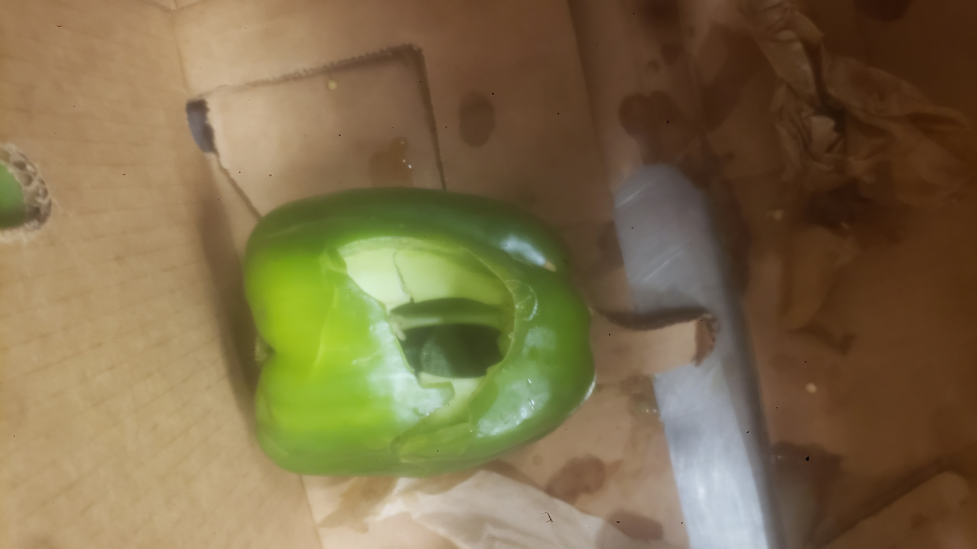 Food bank logo with floating hearts on a tv.