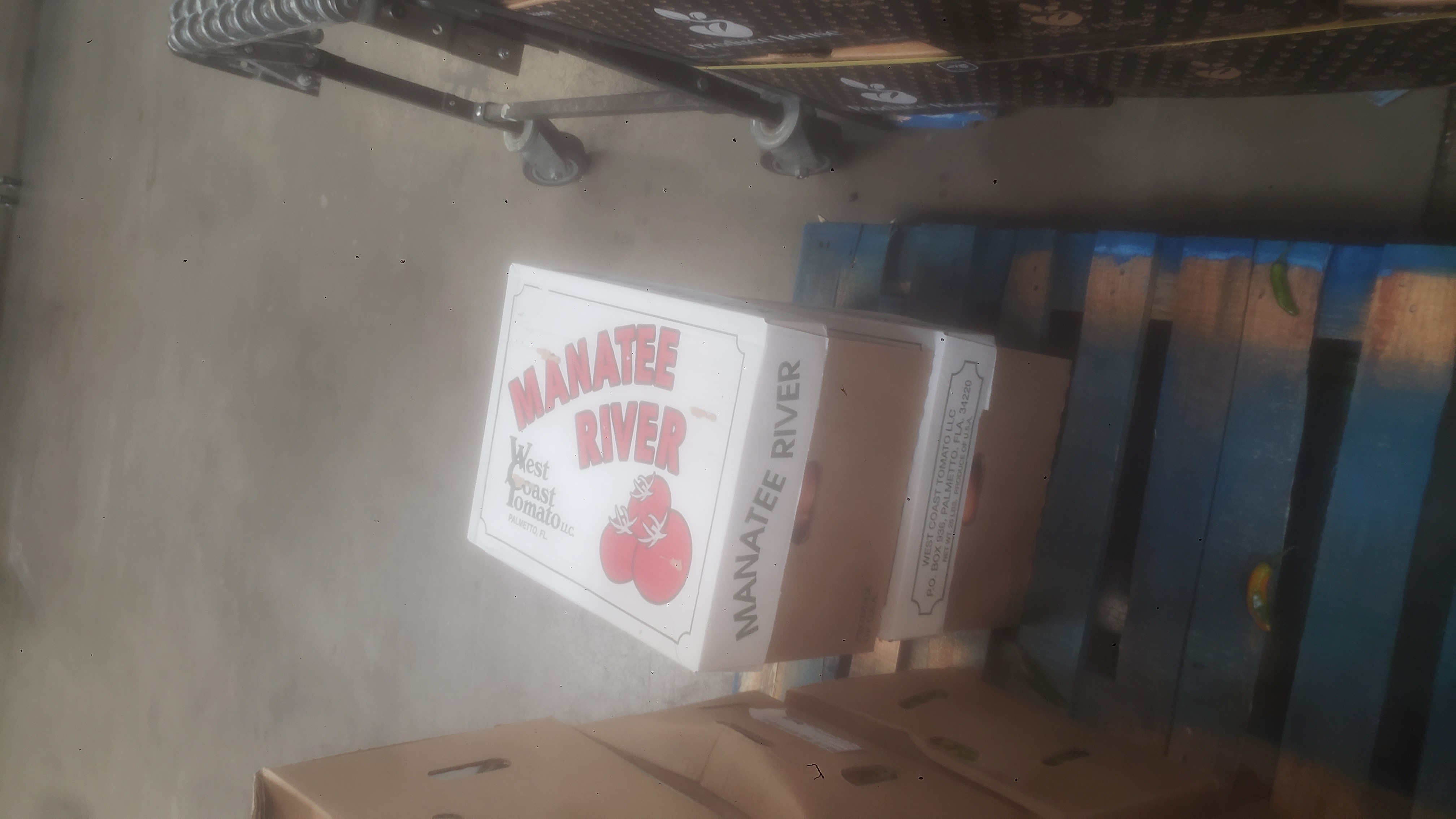 Cardboard boxes of tomatoes with lids on.