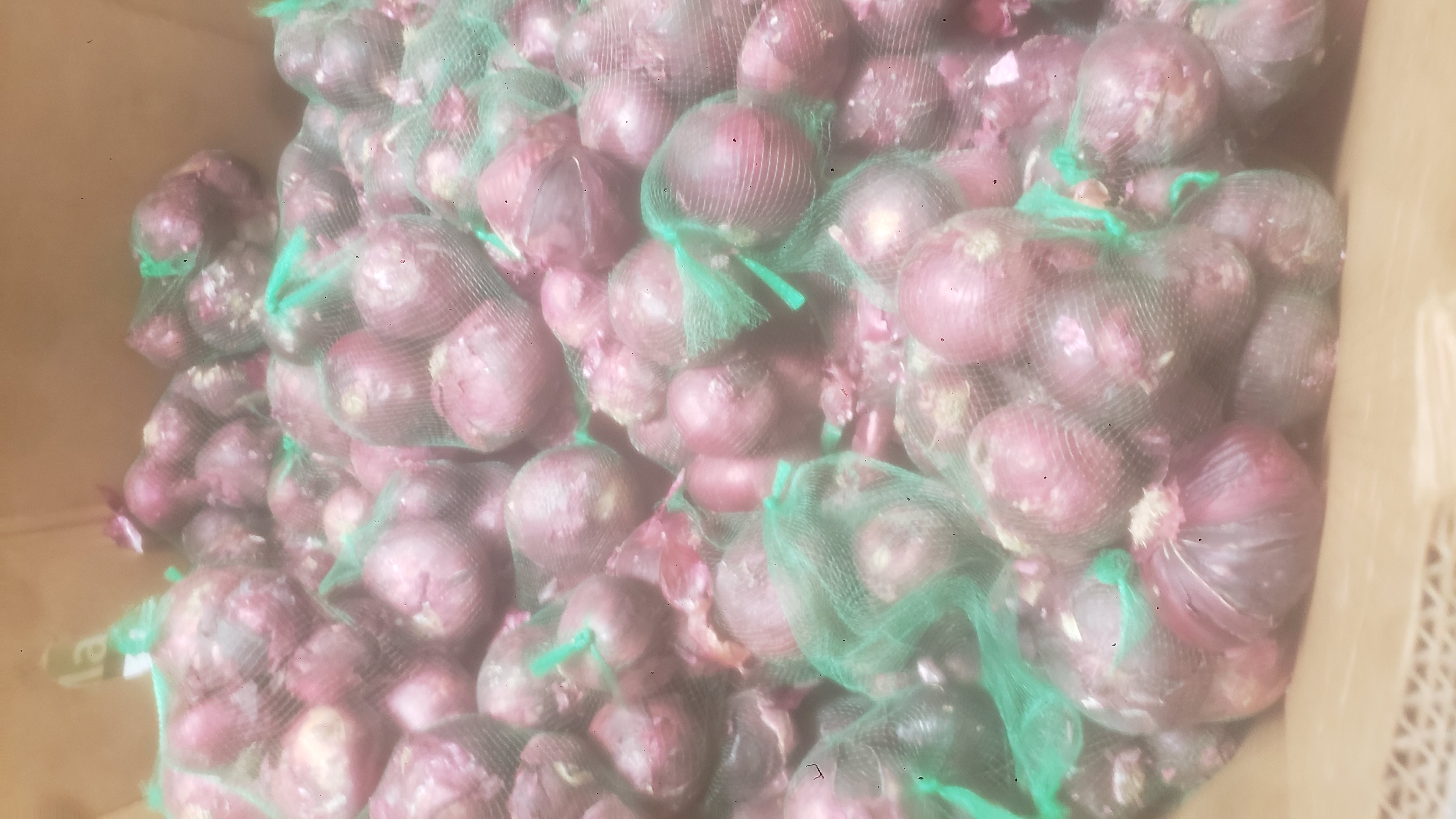 Red onions in green mesh bags in a cardboard container.