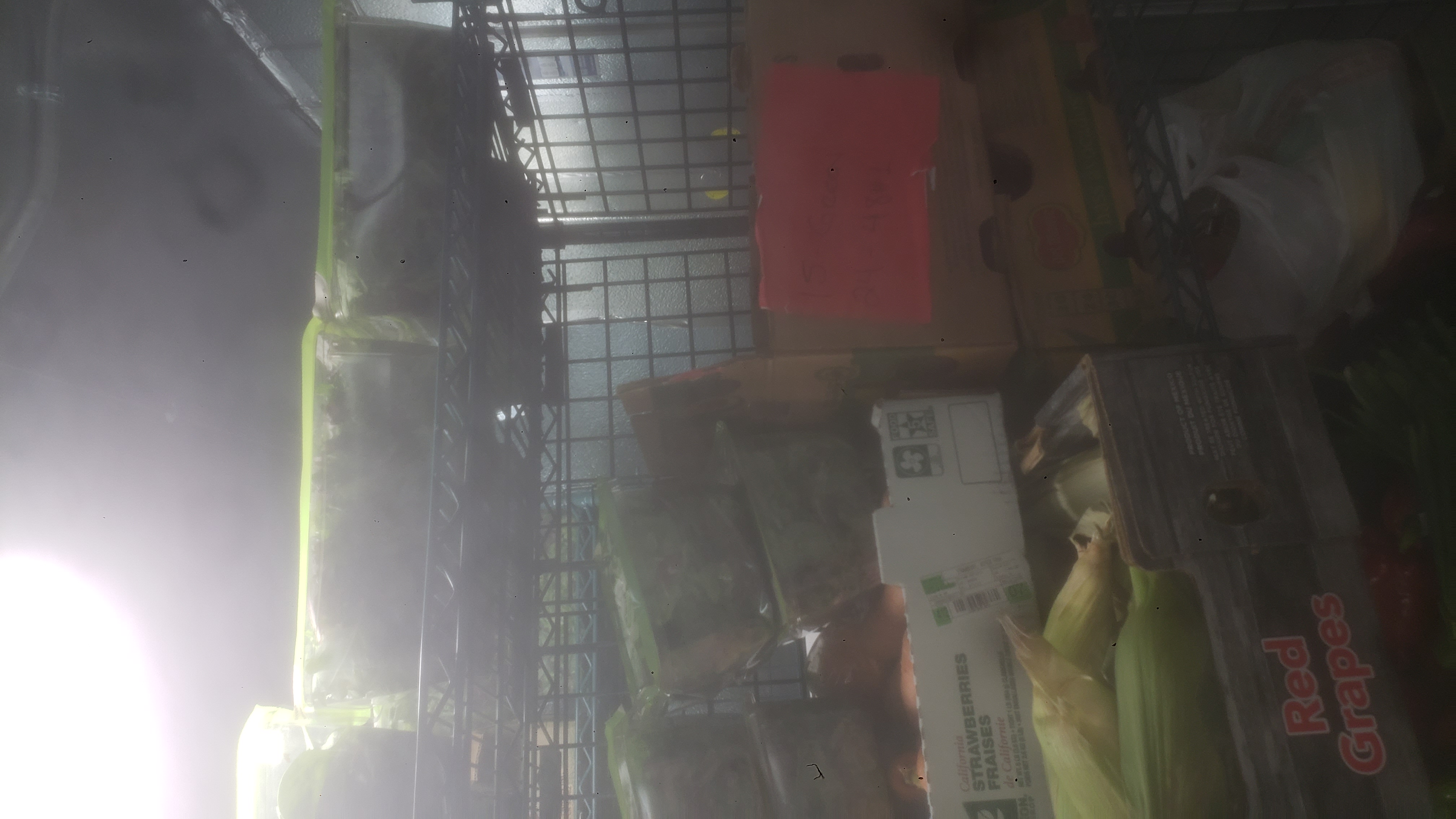 Assorted produce in bags, crate, and trays on racks of a cage shelf.