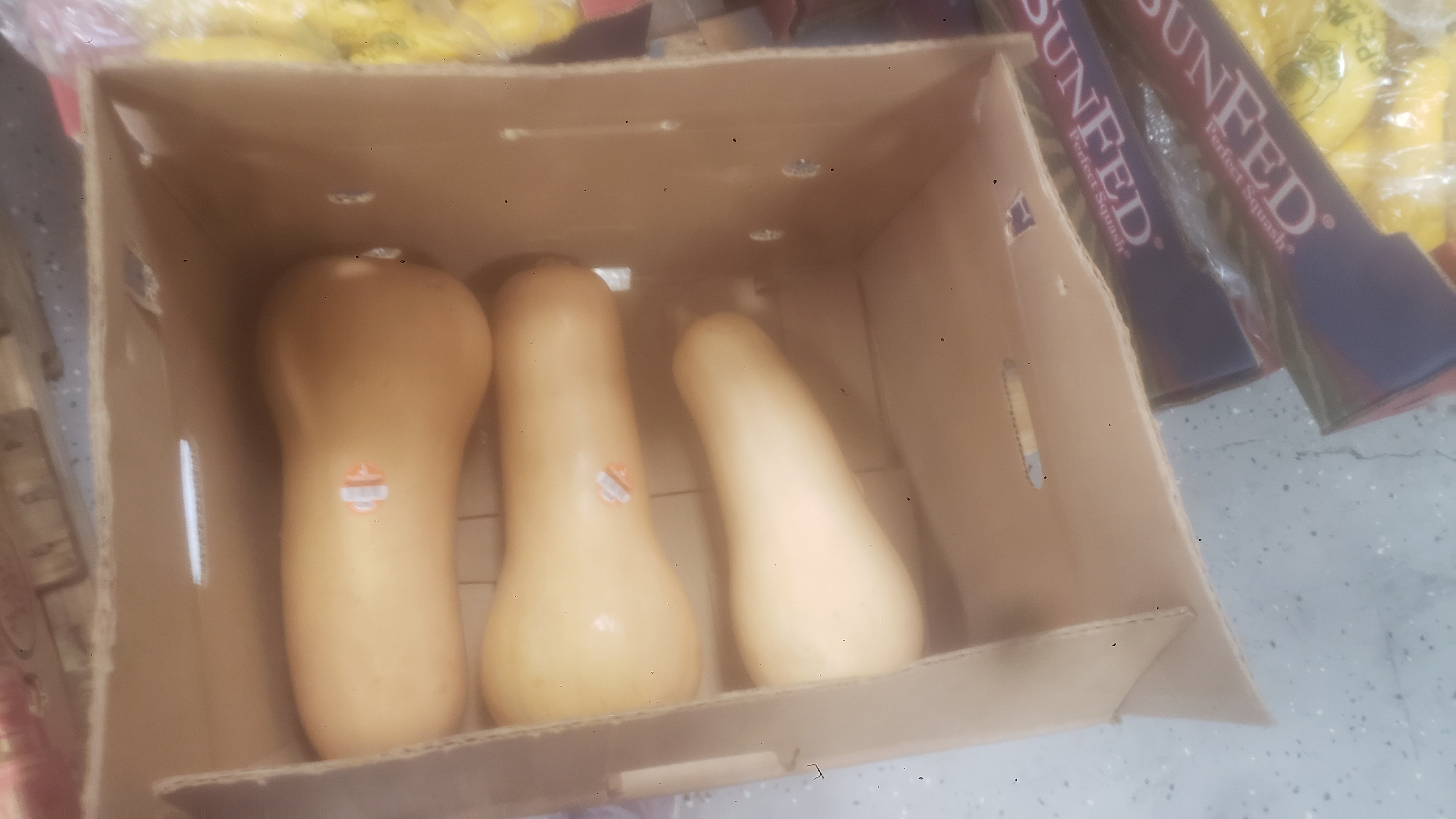 Butternut squashes in a cardboard box.
