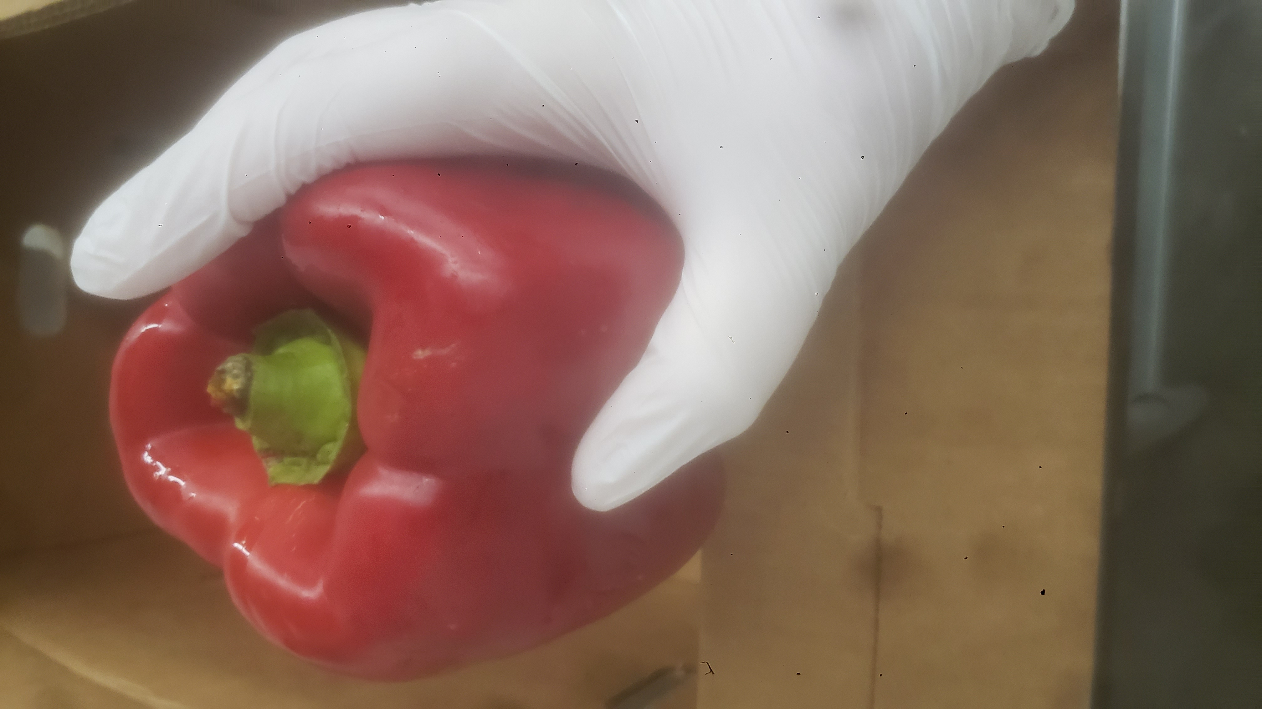 Glass cup of coffee next to cat fanny and laptop.