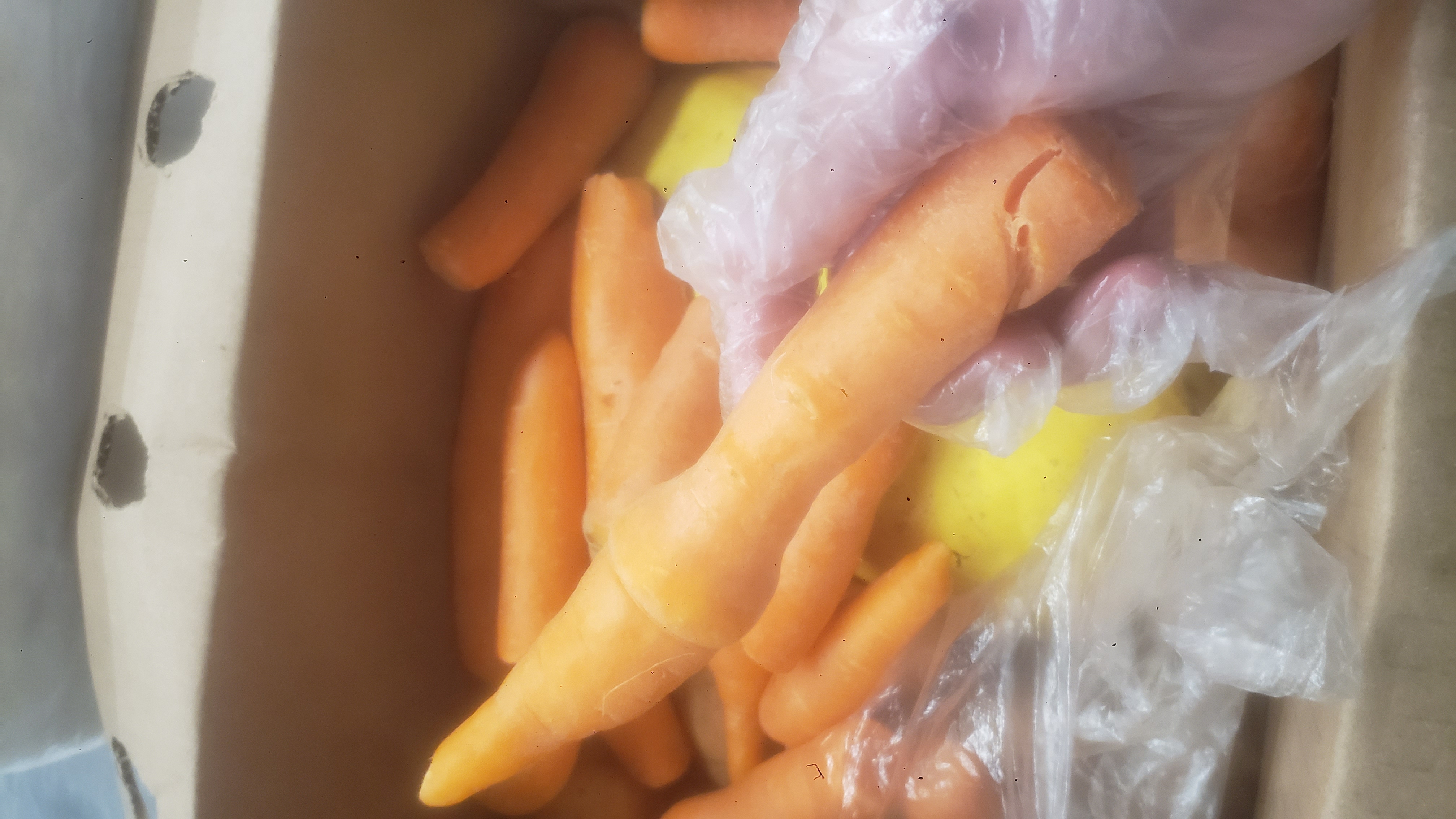 Potatoes, carrots, and eggplants in a cardboard box.