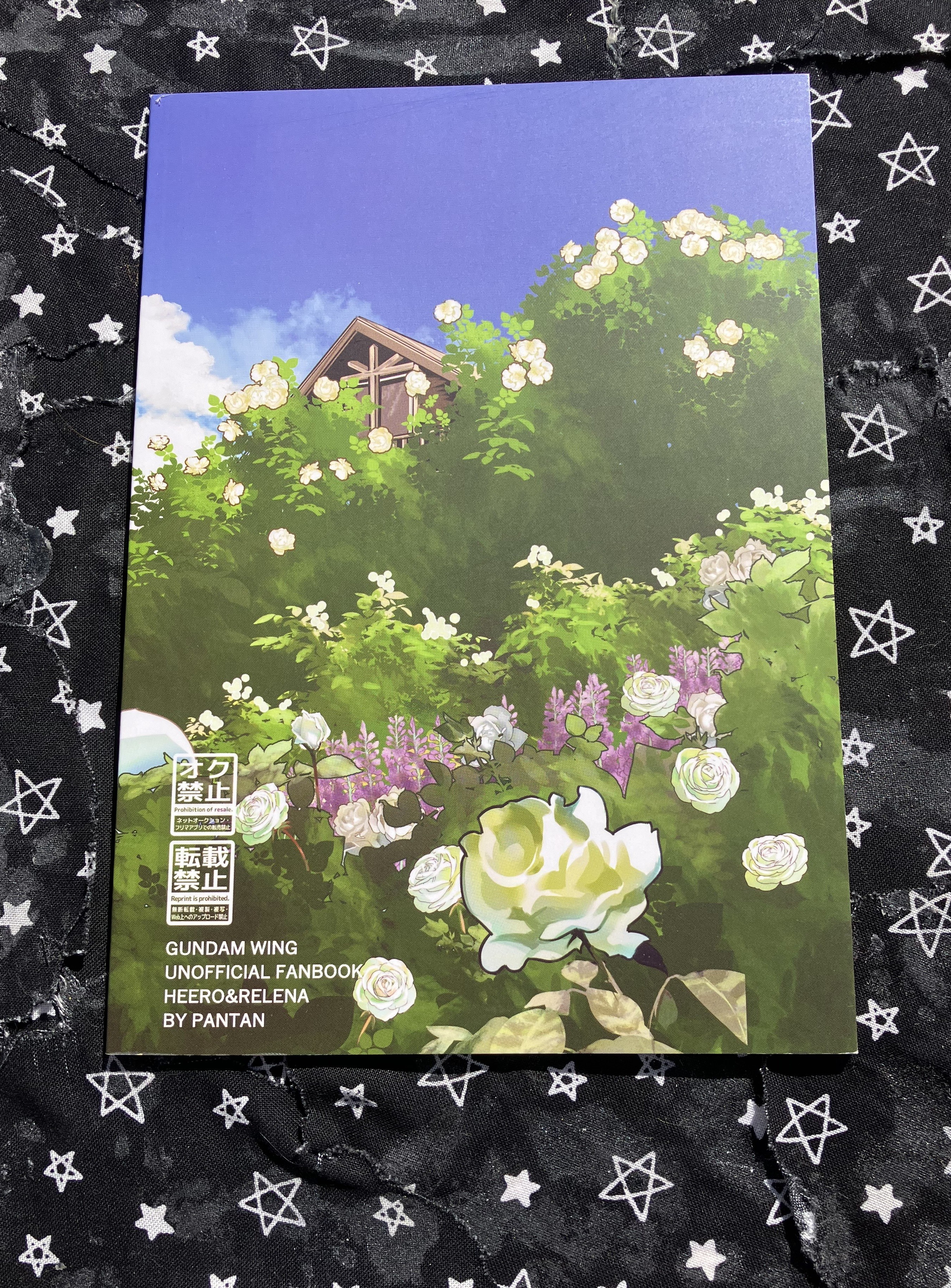 Fan comic back cover showing blue sky and top of a house covered by a field of flowers.